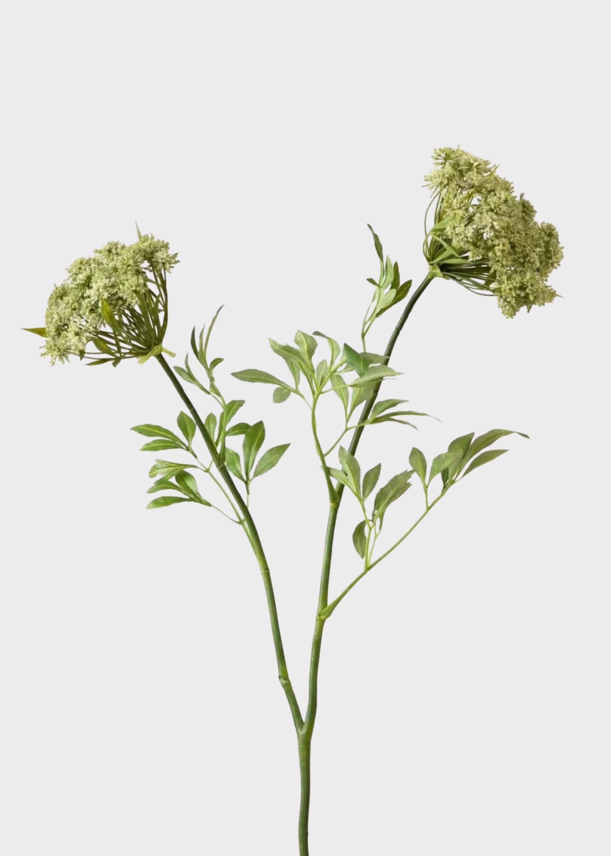 Luxury Faux Flowers Green Queen Annes Lace at Afloral