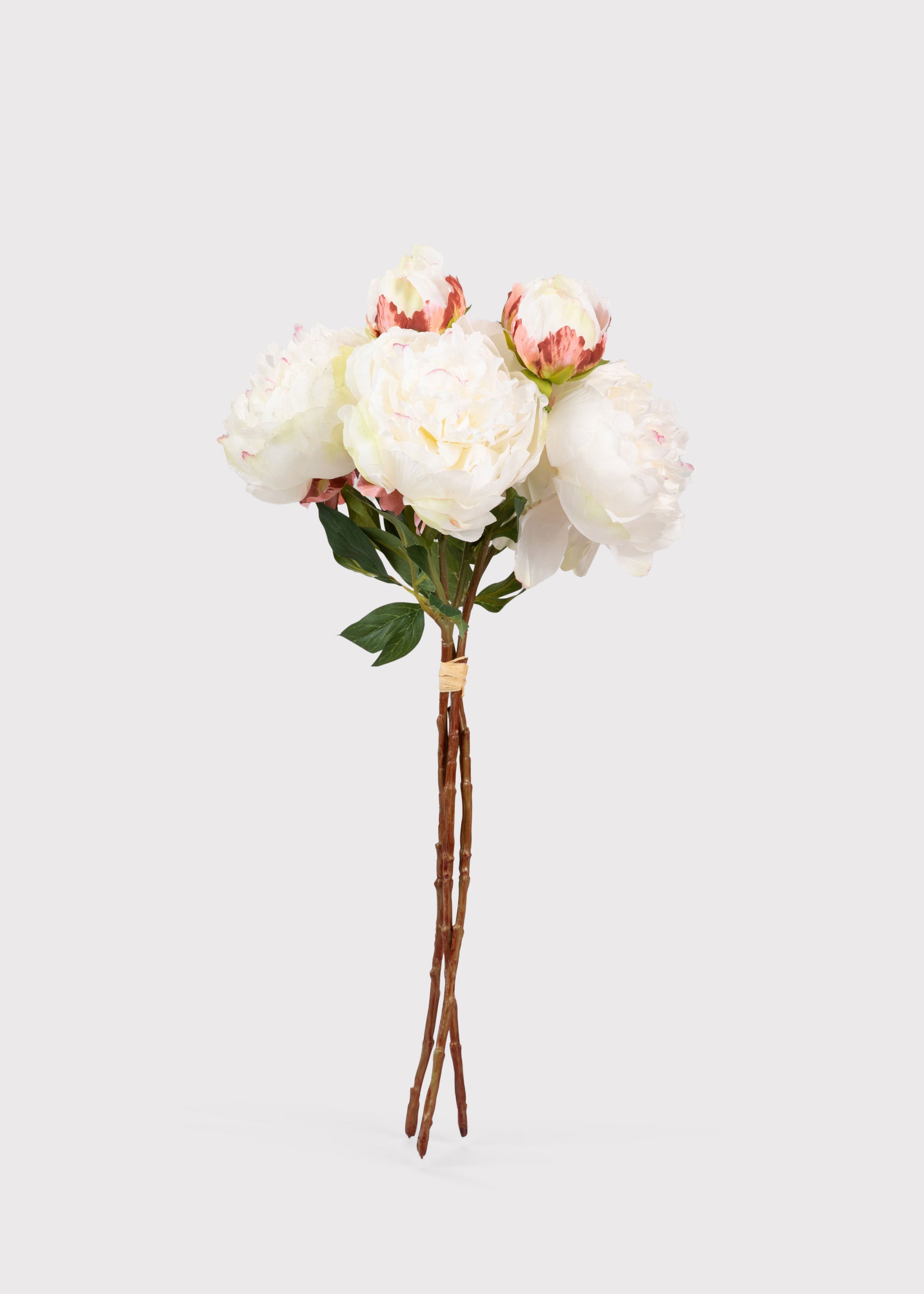 Artificial Cream Peony Bundle