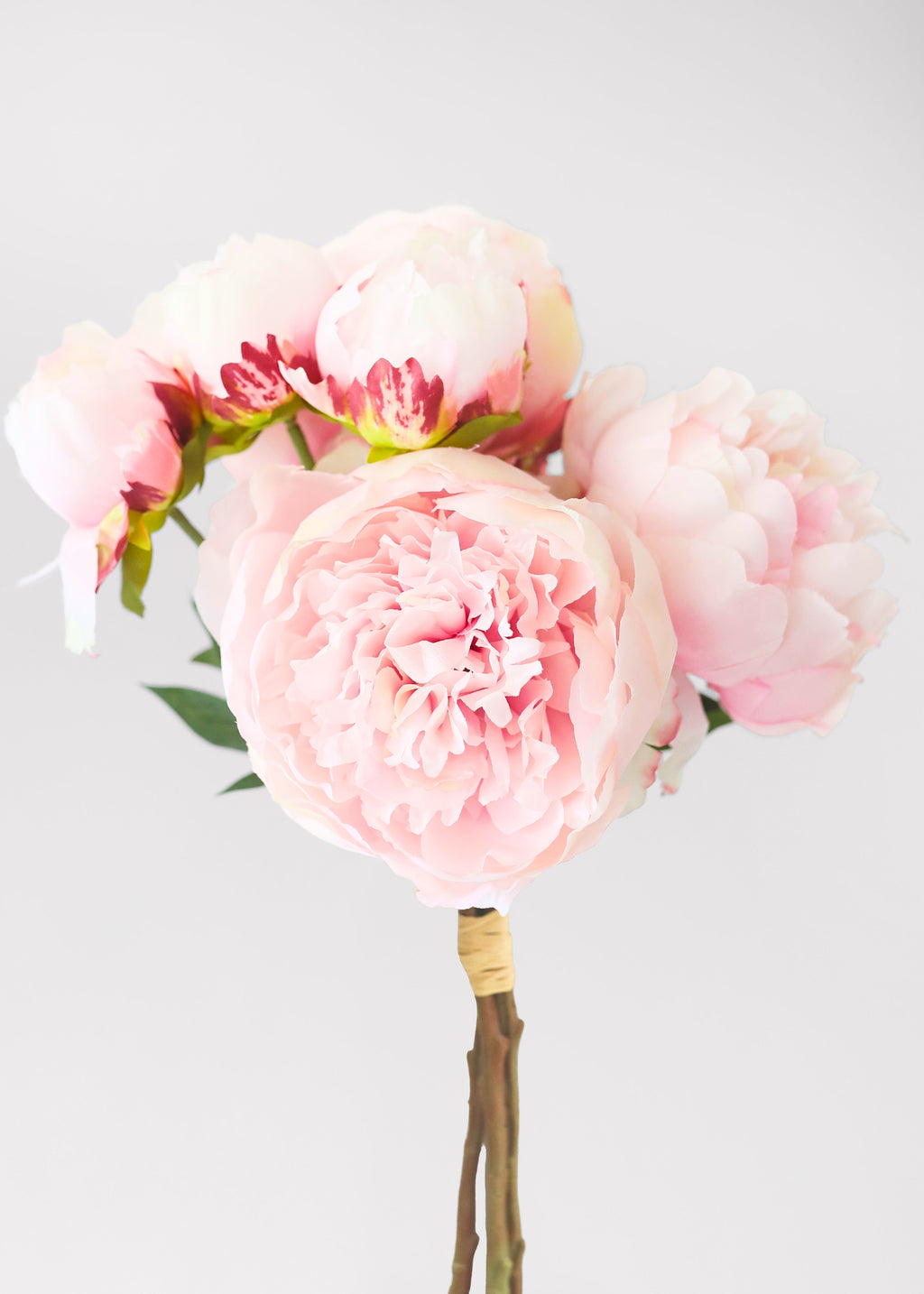 Pink Peony Bundle