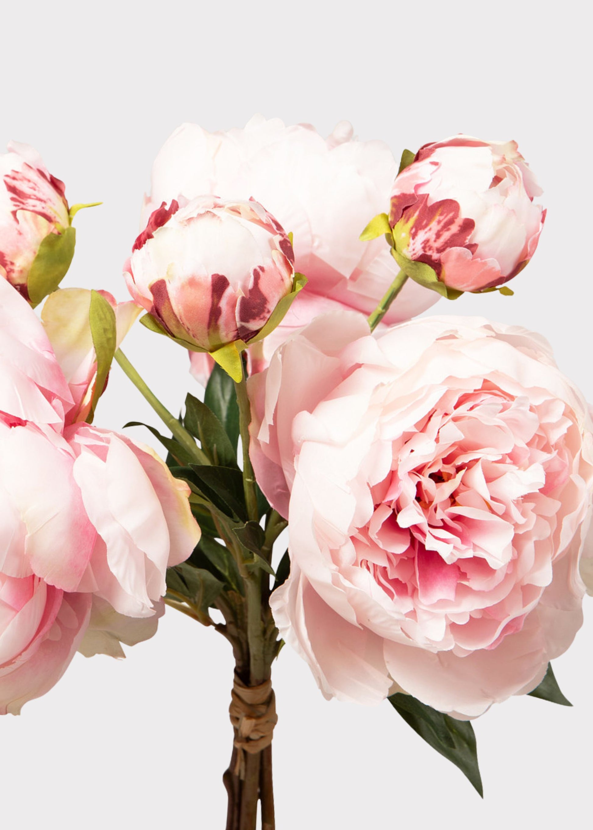 Close-up of Artificial Peony Bundle