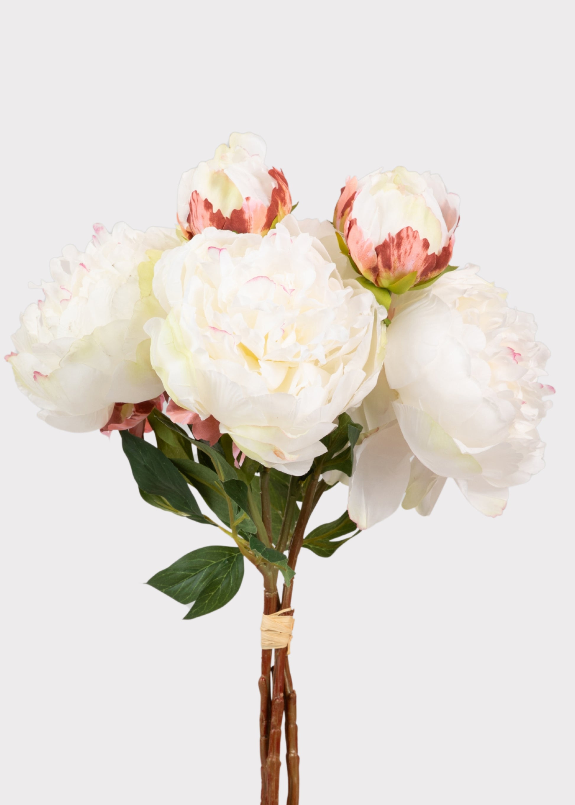 Cream Faux Peonies