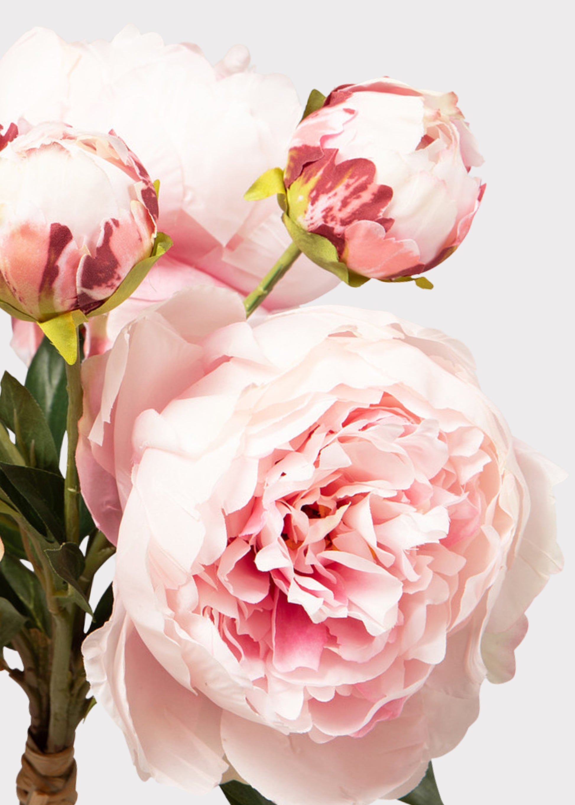 Close-up of Artificial Peony Bundle