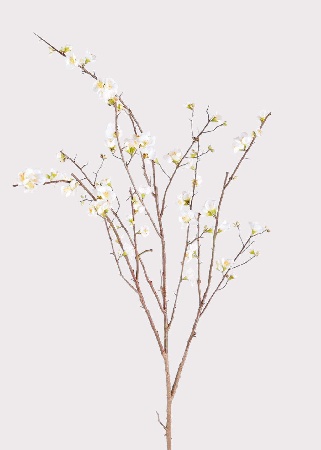 Faux Quince Blossom Branch