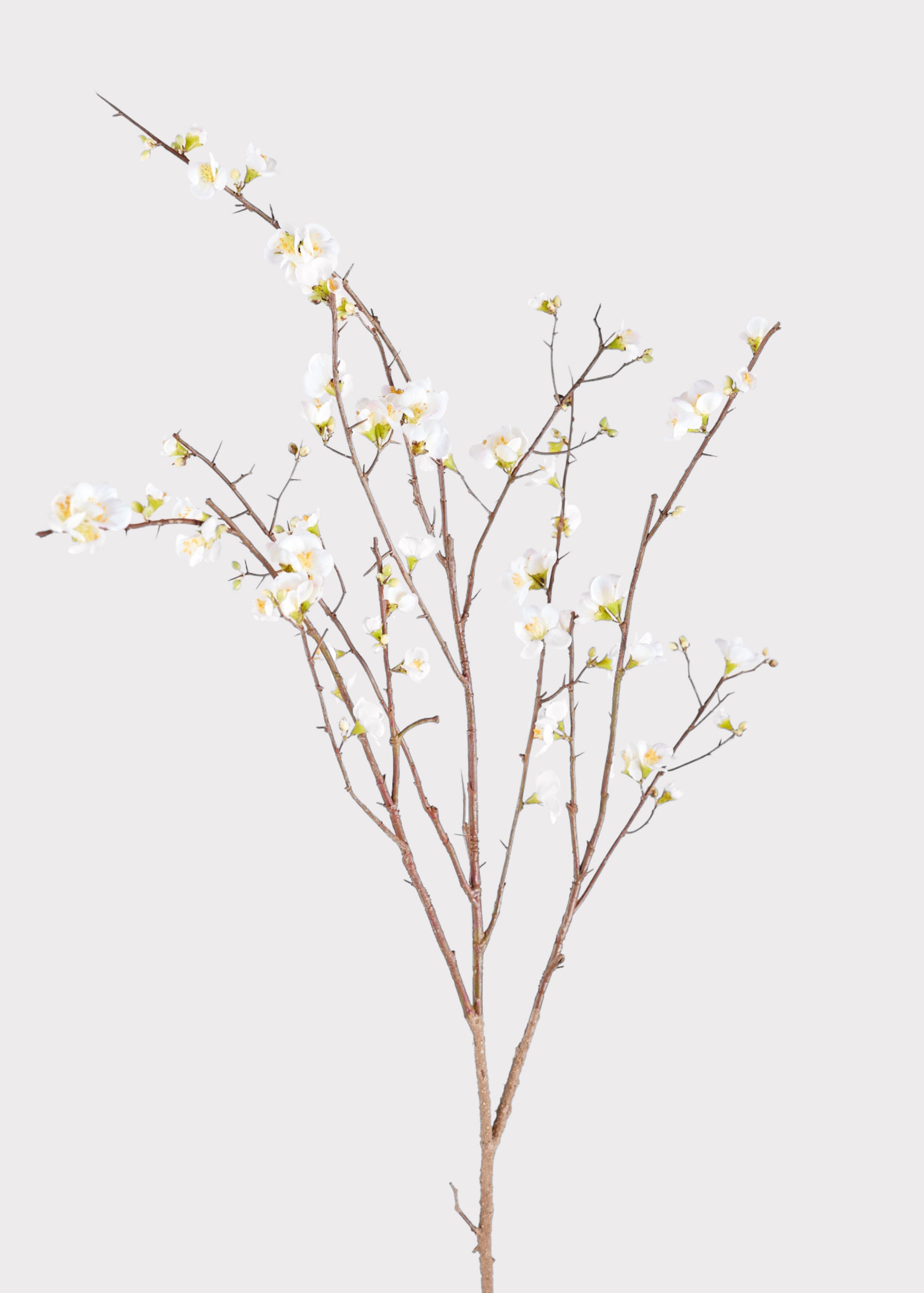 Faux Quince Blossom Branch