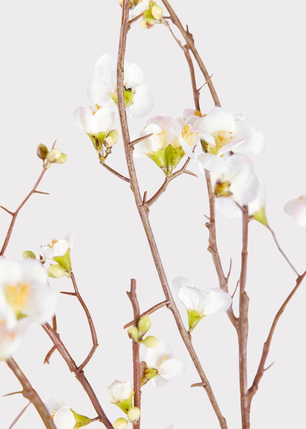 Premium Artificial Blossom Branch