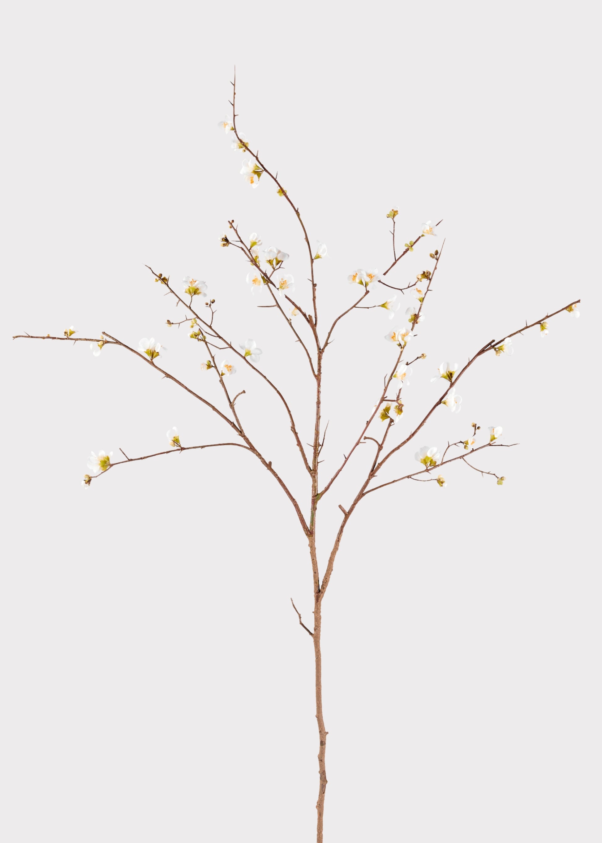 Artificial Quince Branch