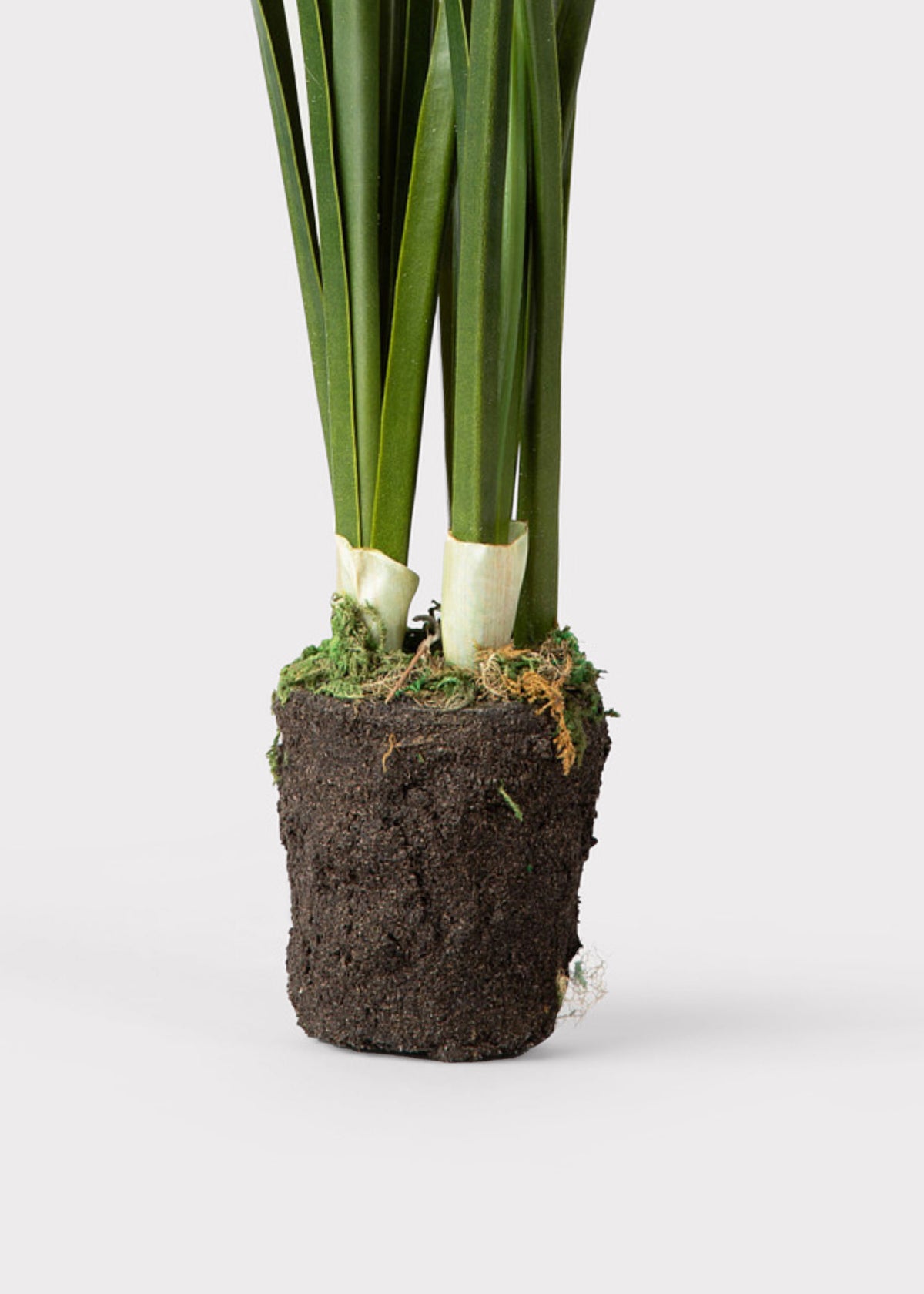 Faux Paperwhite Drop-In Plant | Artificial Spring Flowers | Afloral