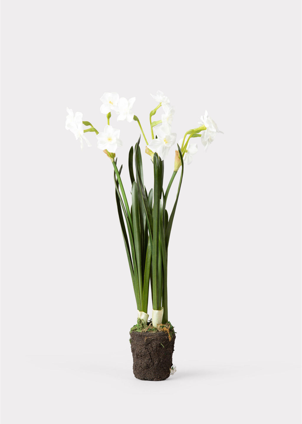 Artificial Spring Paperwhite Drop-In Plant