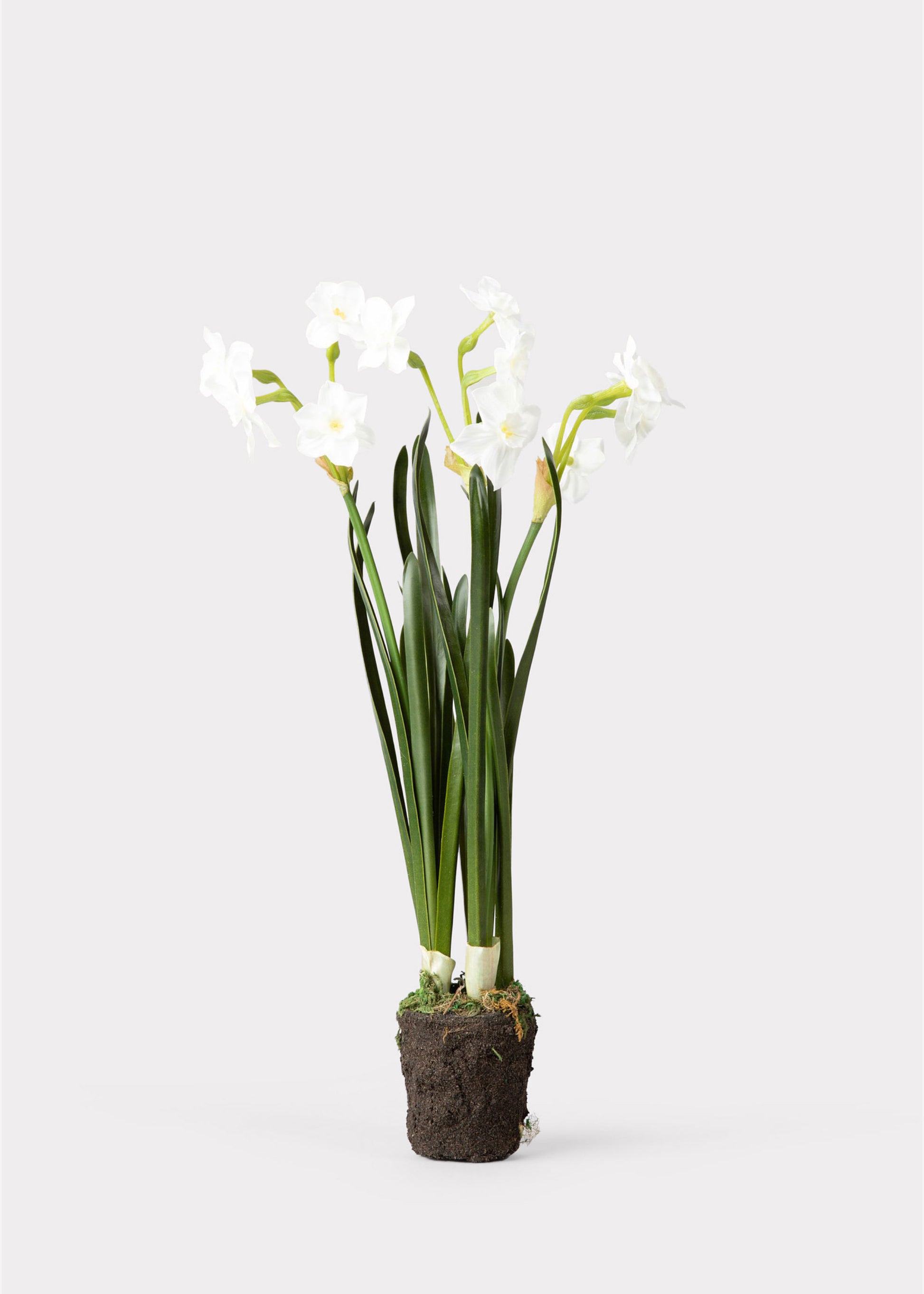 Artificial Spring Paperwhite Drop-In Plant