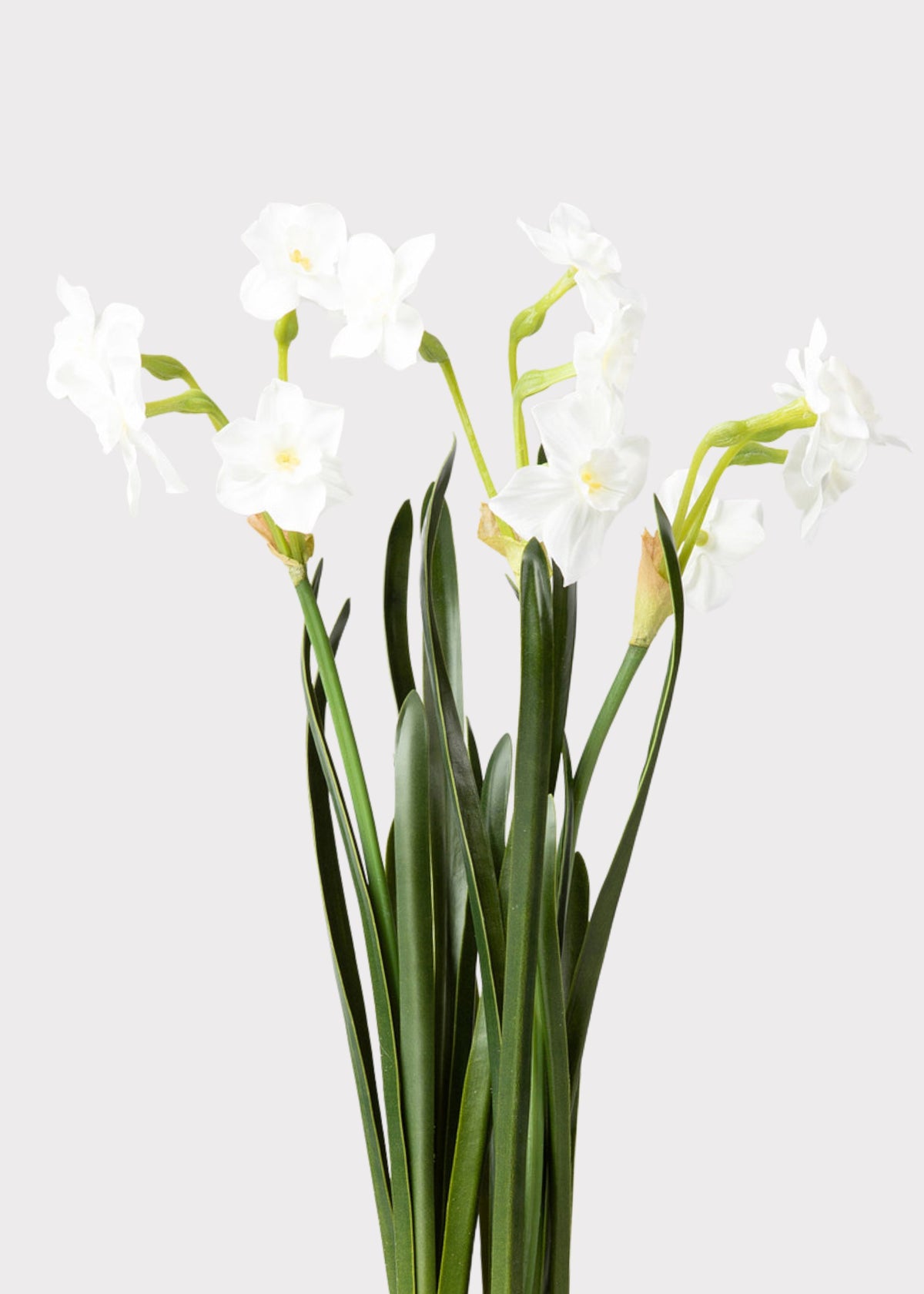 Faux Paperwhite Drop-In Plant | Artificial Spring Flowers | Afloral