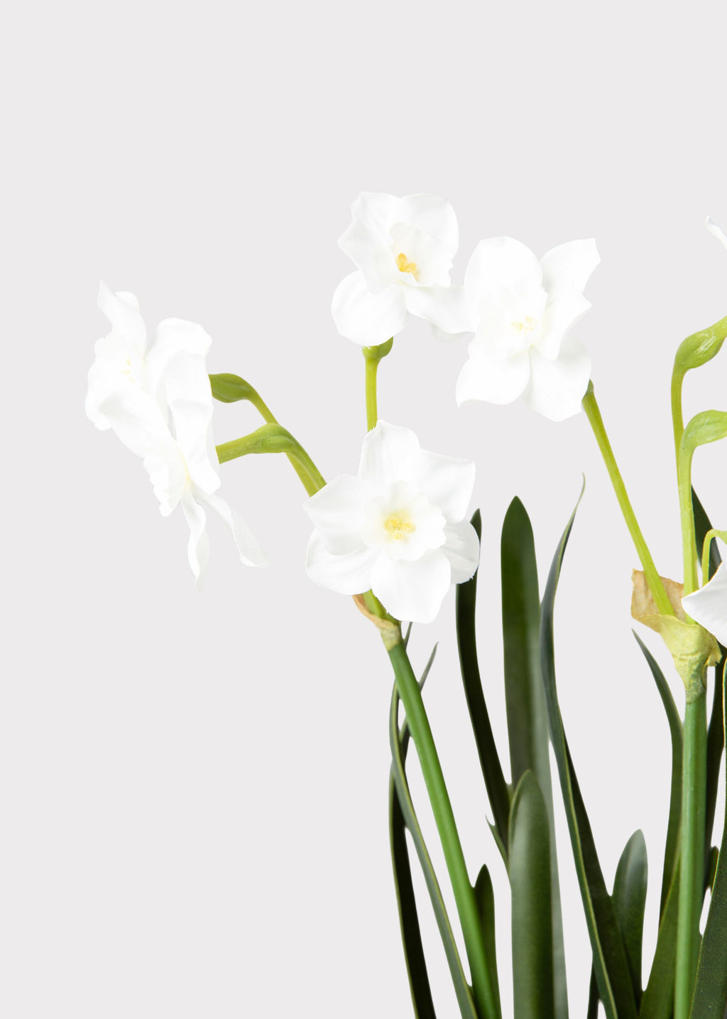 Artificial Spring Paperwhites