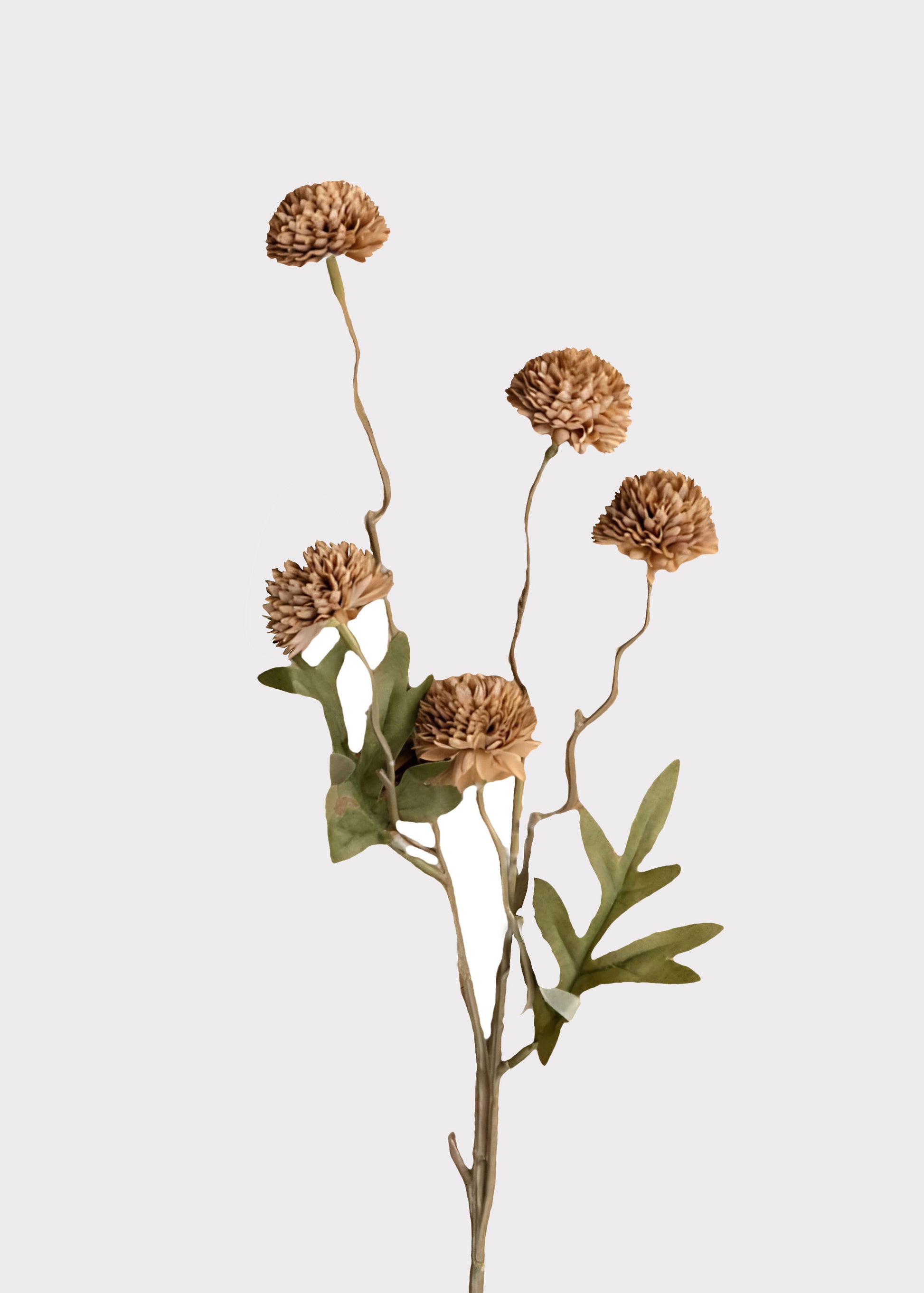 Artificial Allium Onion Flowers in Brown Earth Tones 