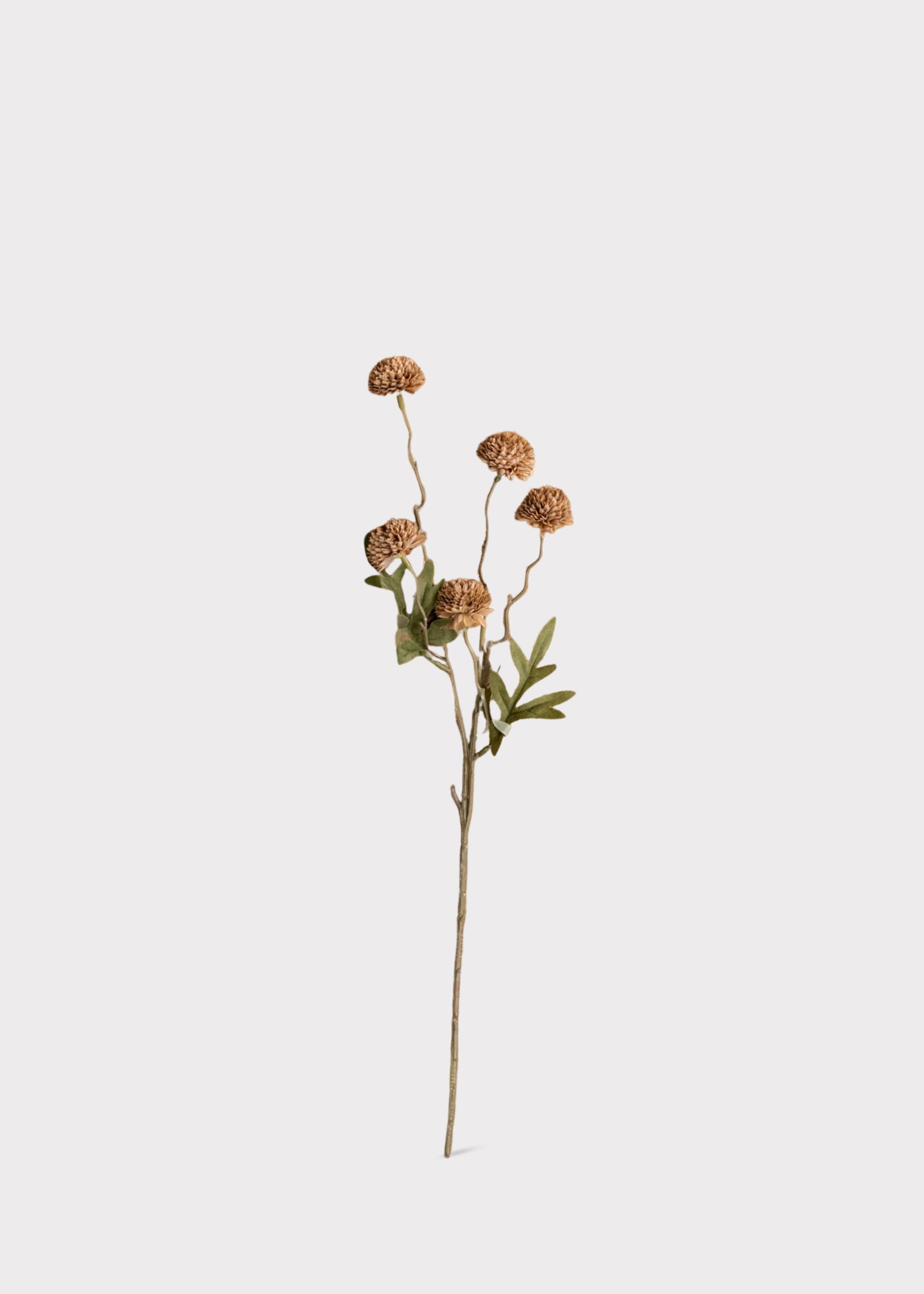 Brown Artificial Allium Onion Flower