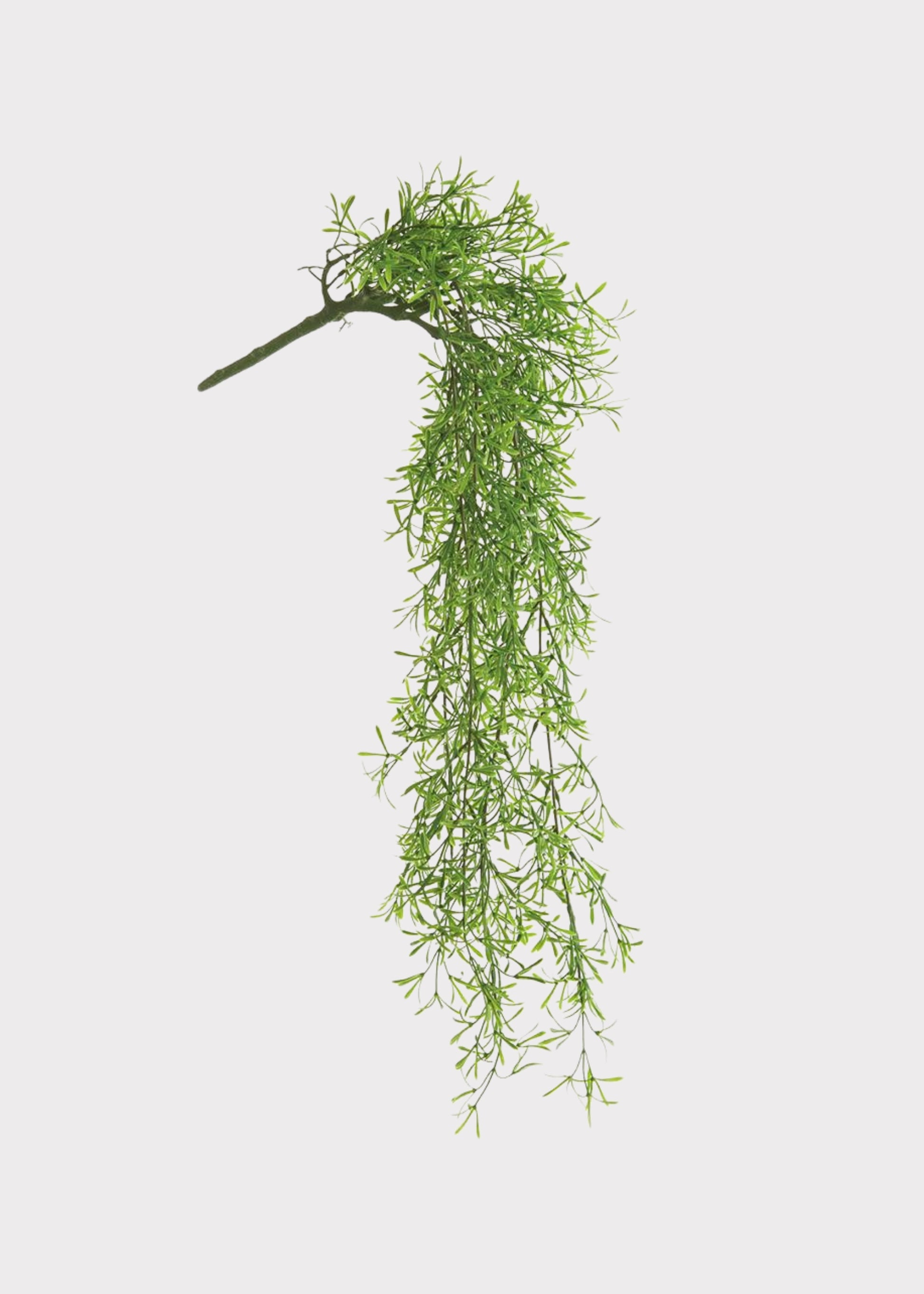 UV Treated Fake Sprengeri Fern