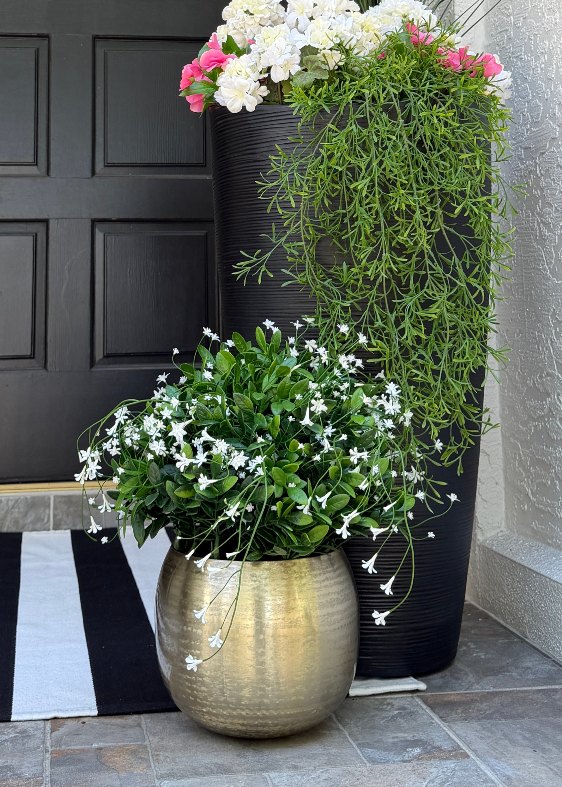 Hanging Sprengeri Fern and Boxwood Potted Plant