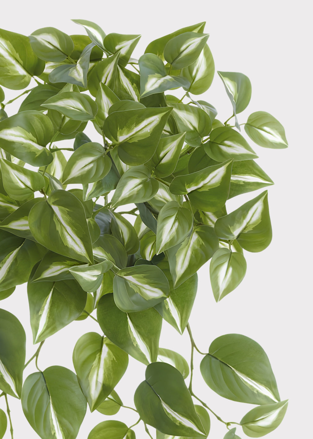 White and Green Variegated Artificial Philodendron