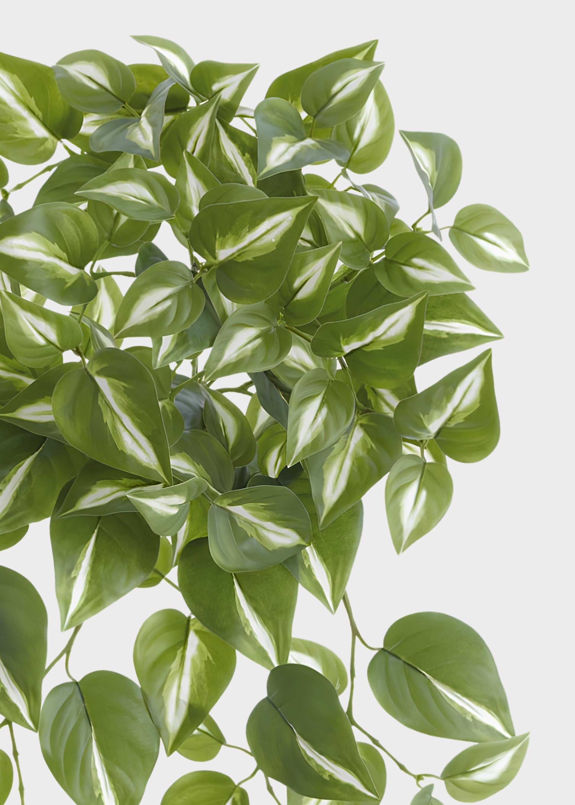 White and Green Variegated Artificial Philodendron