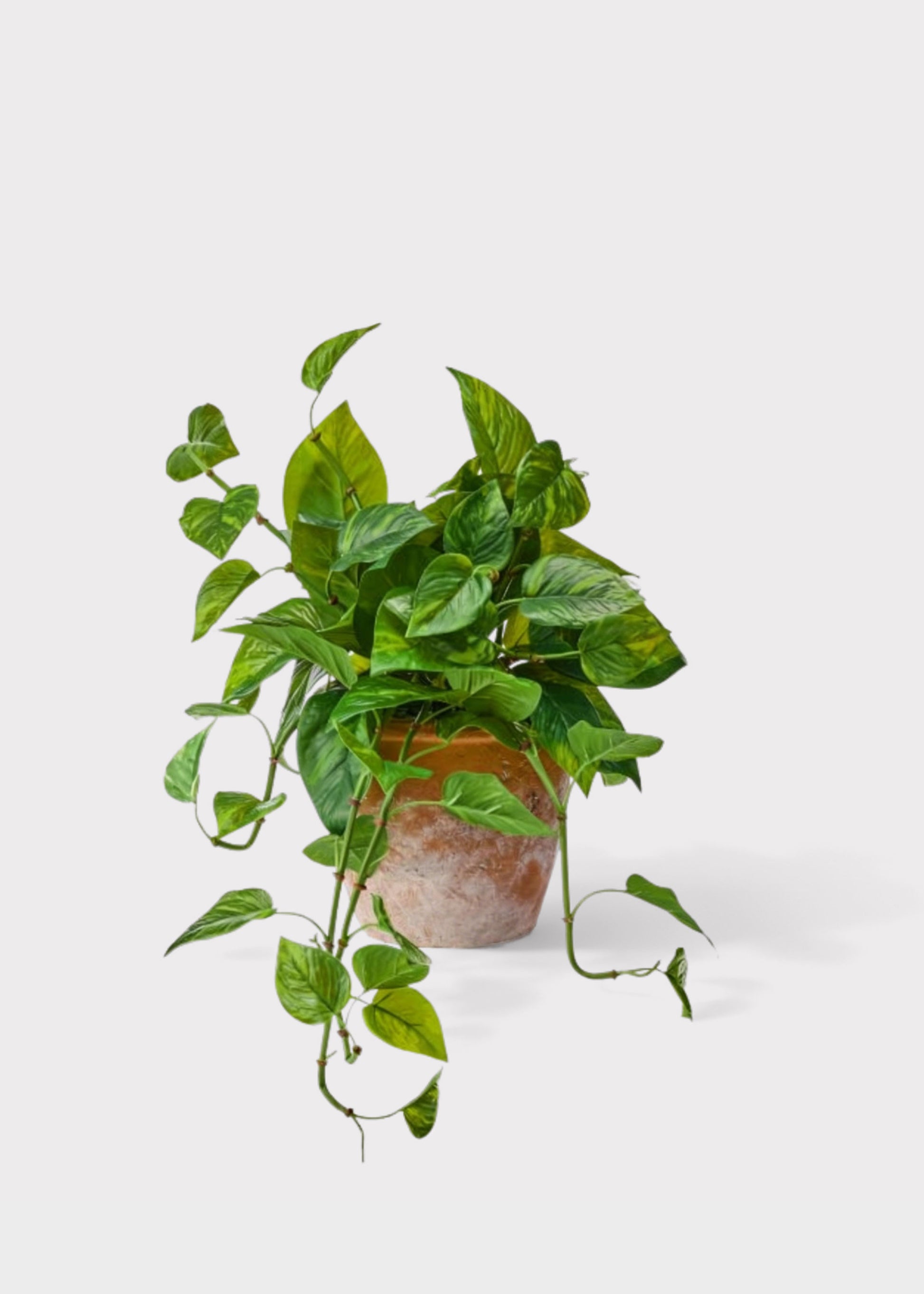 UV Treated Faux Pothos Plant