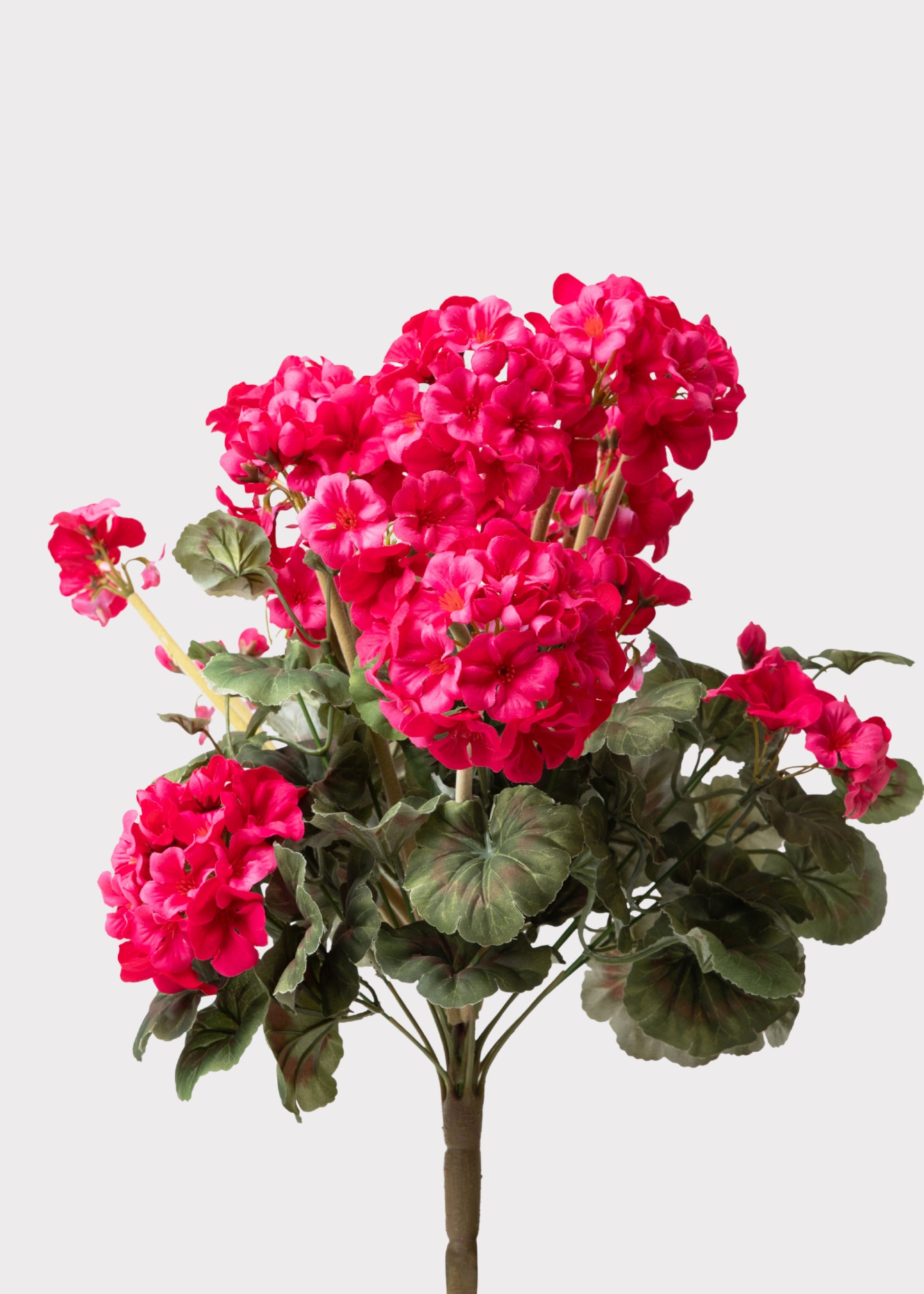 Dark Pink Fake Geranium Bush 