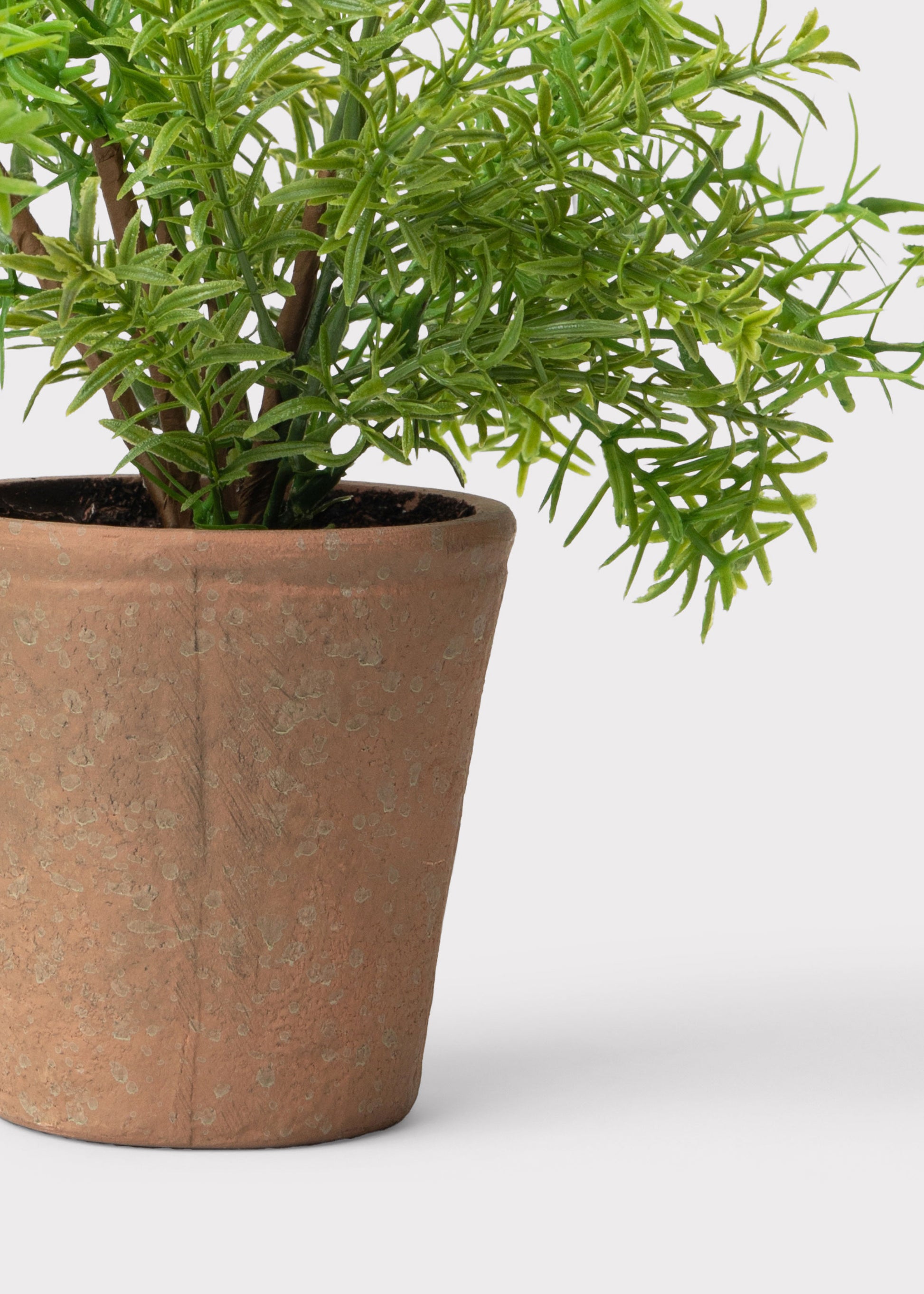 Close-up of the Artificial Rosemary Herb Plant Pot