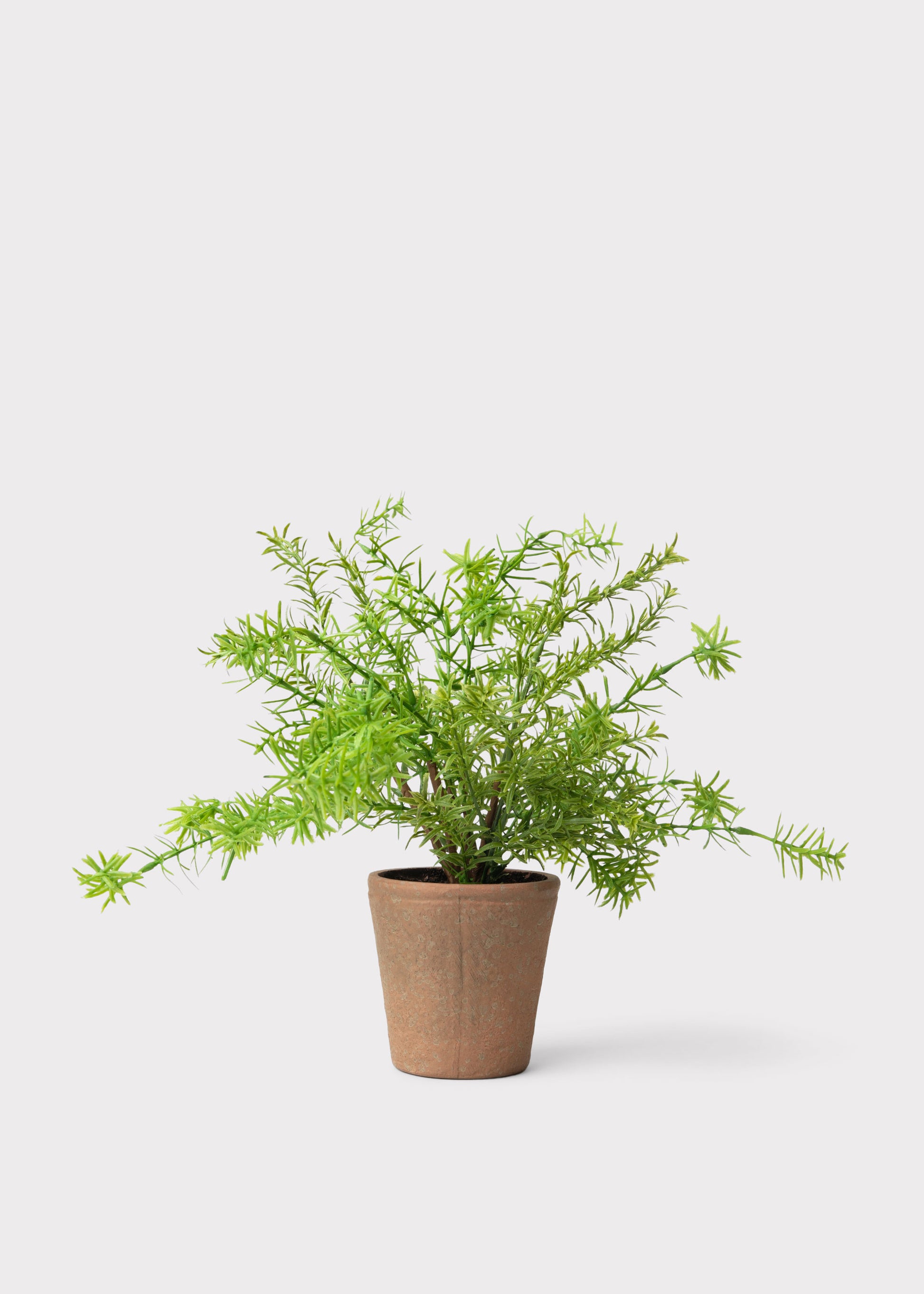 Artificial Potted Rosemary Herb Plant