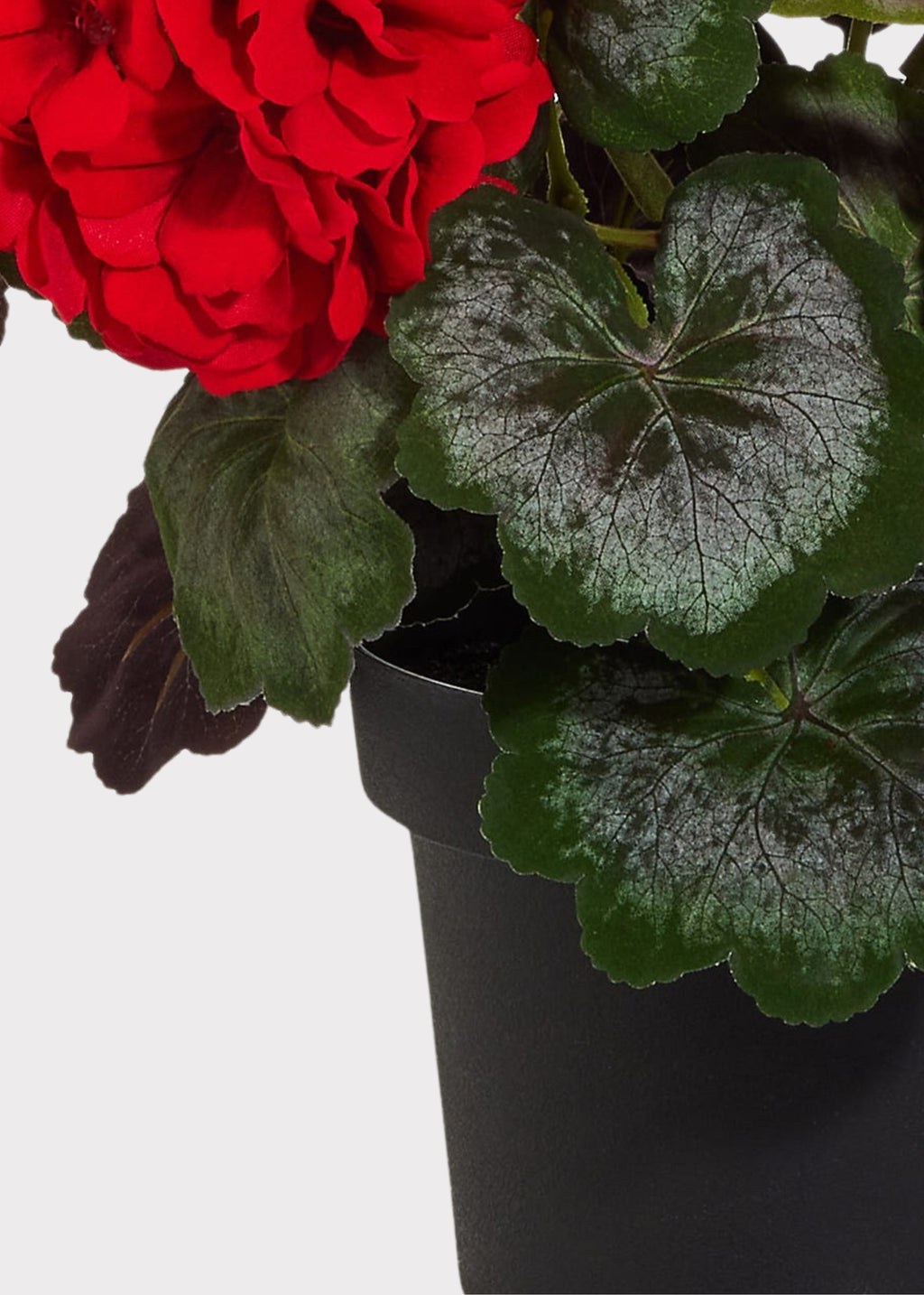 Black plastic pot for a fake geranium