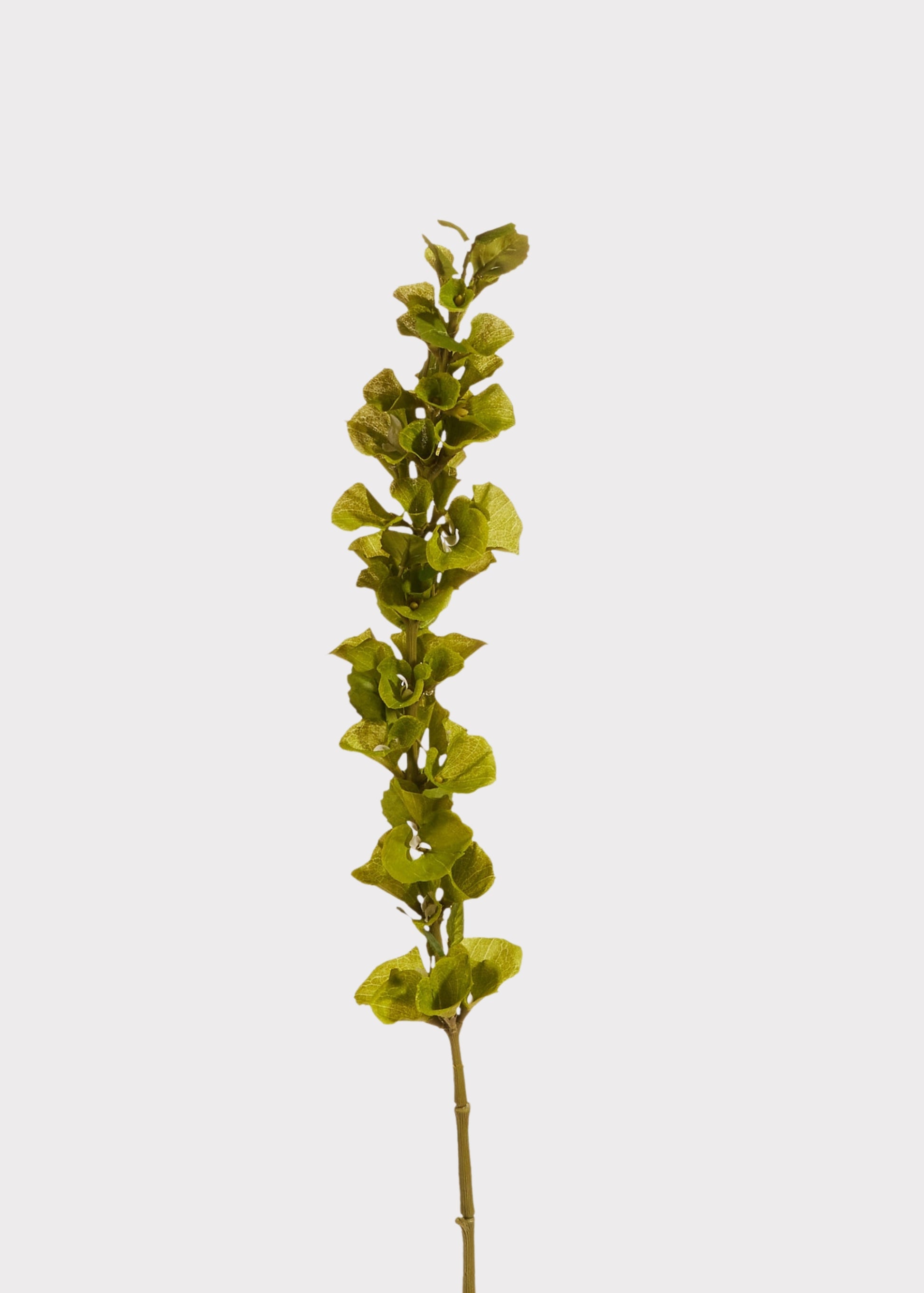 Green Artificial Bells of Ireland Flower Stem