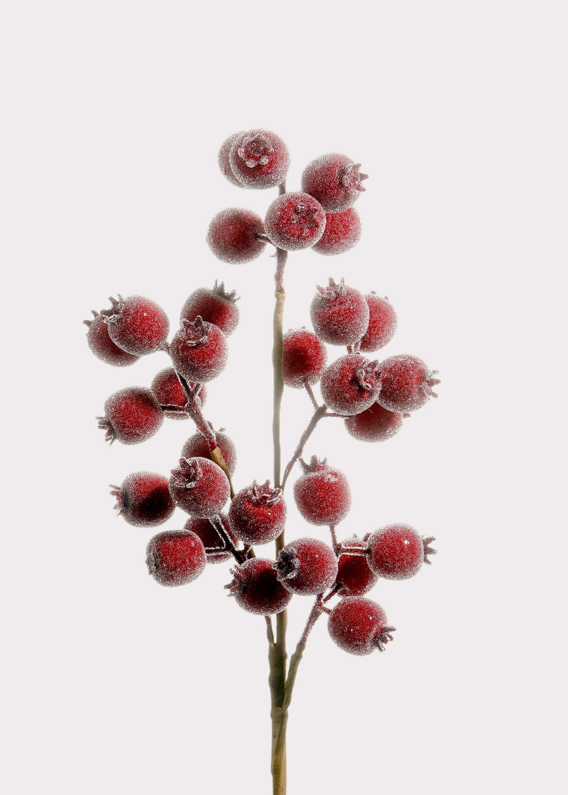 Fake Holiday Berry Pod Branch in Iced Burgundy