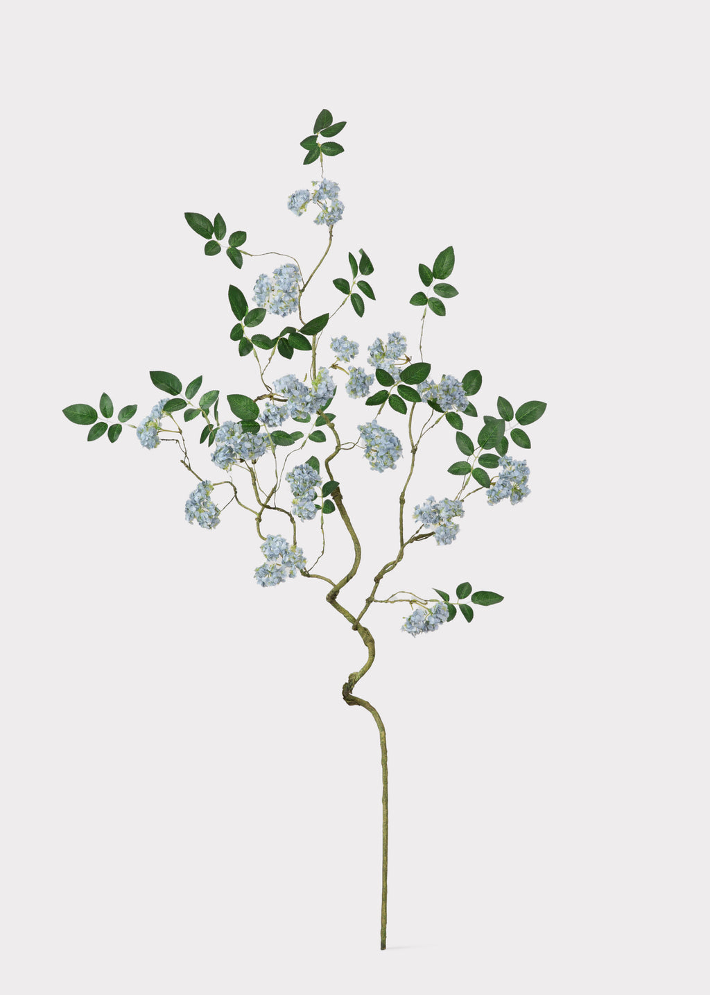 Spring Blossom Branch
