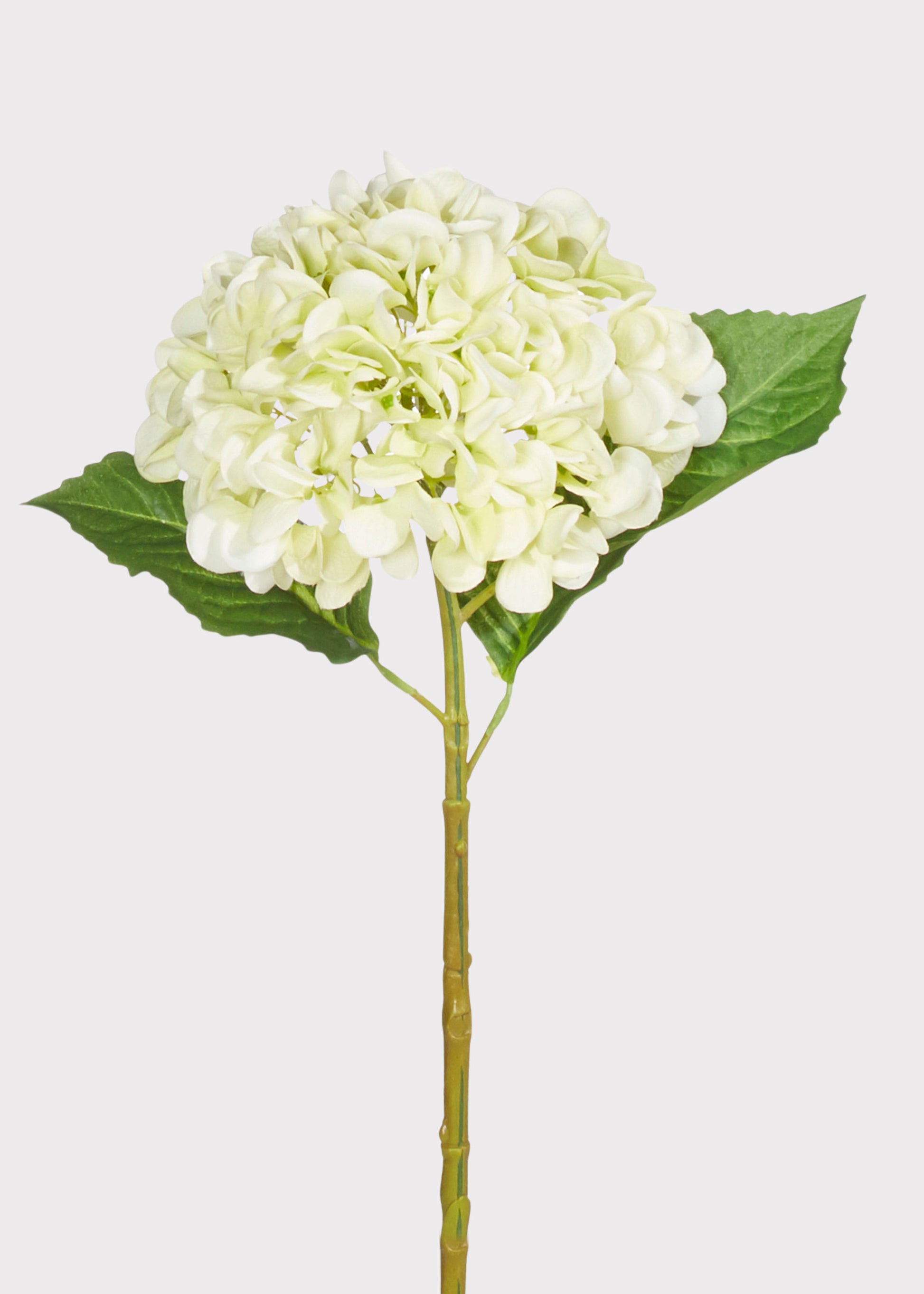 Real Touch Hydrangea in Light Green