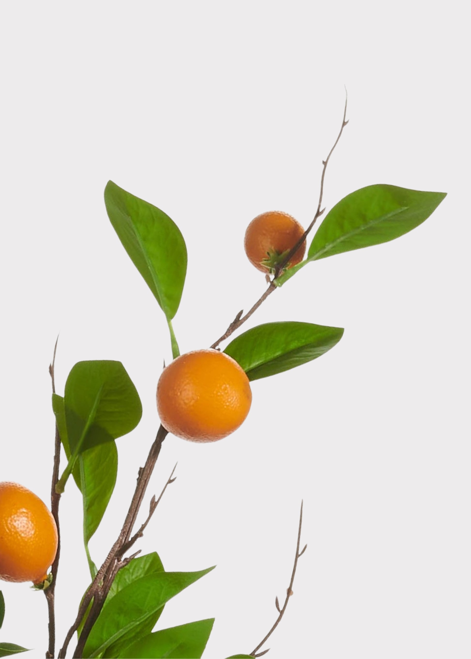 Close-up of fake orange branch