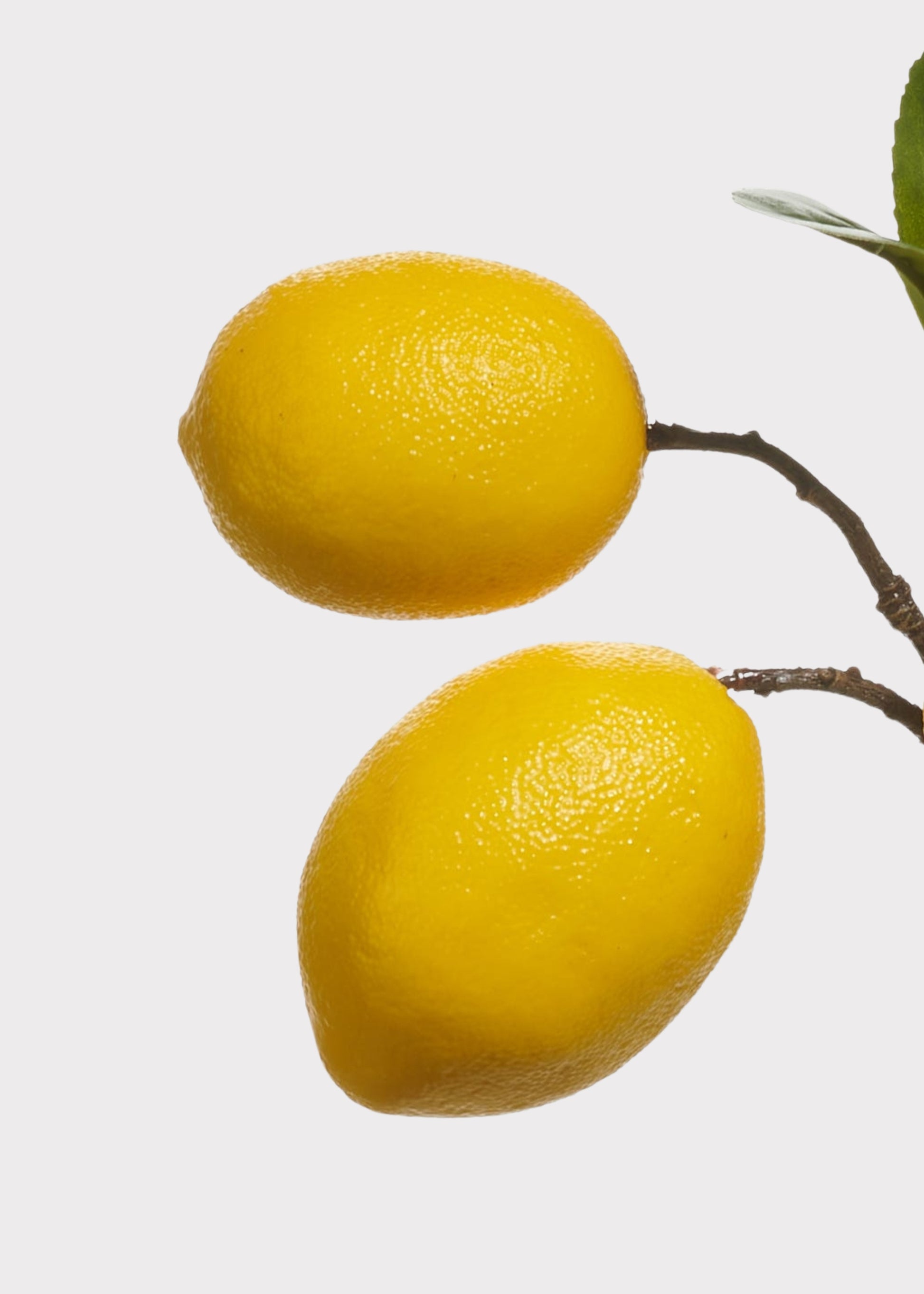artificial lemons