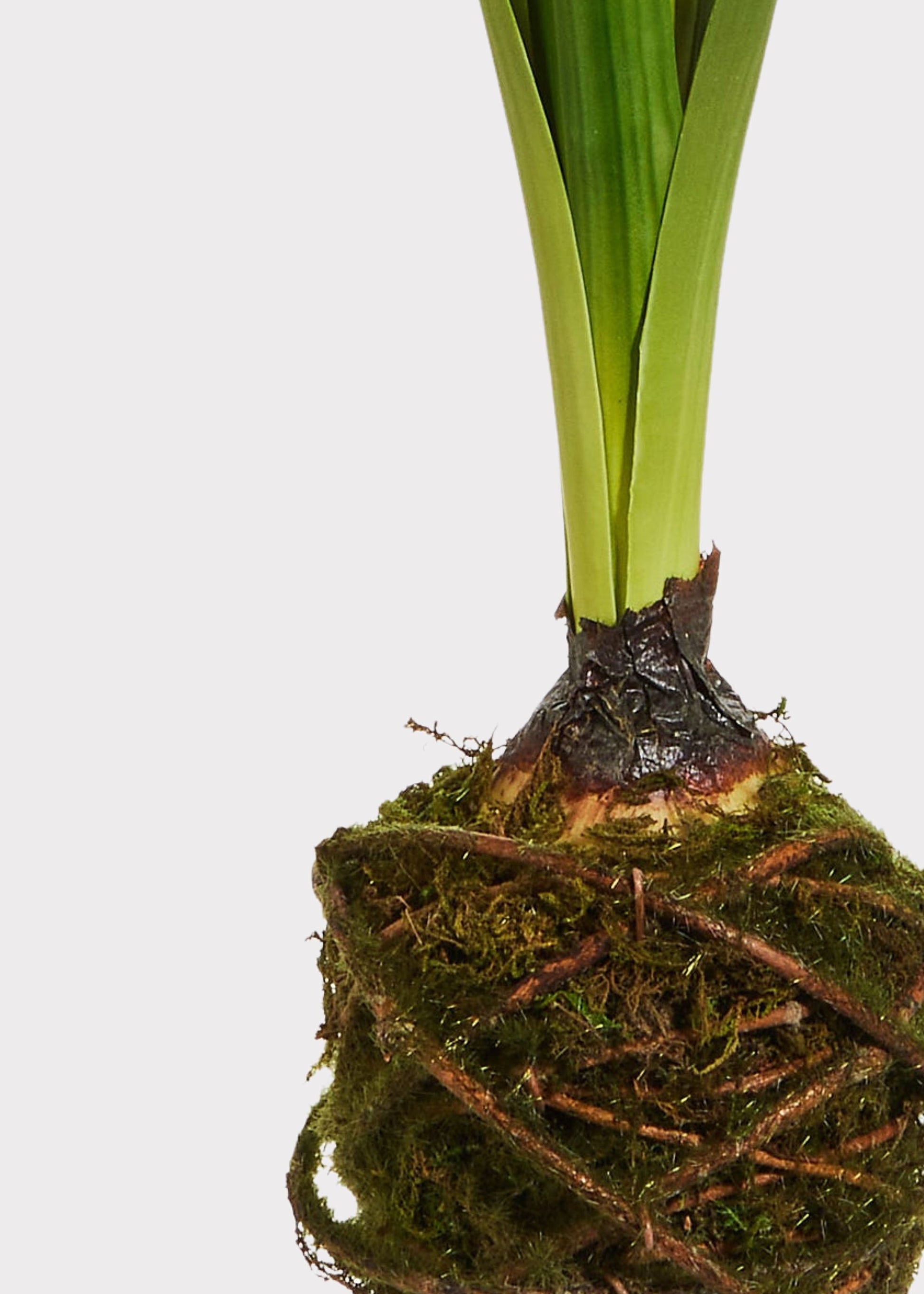 artificial hyacinth root ball