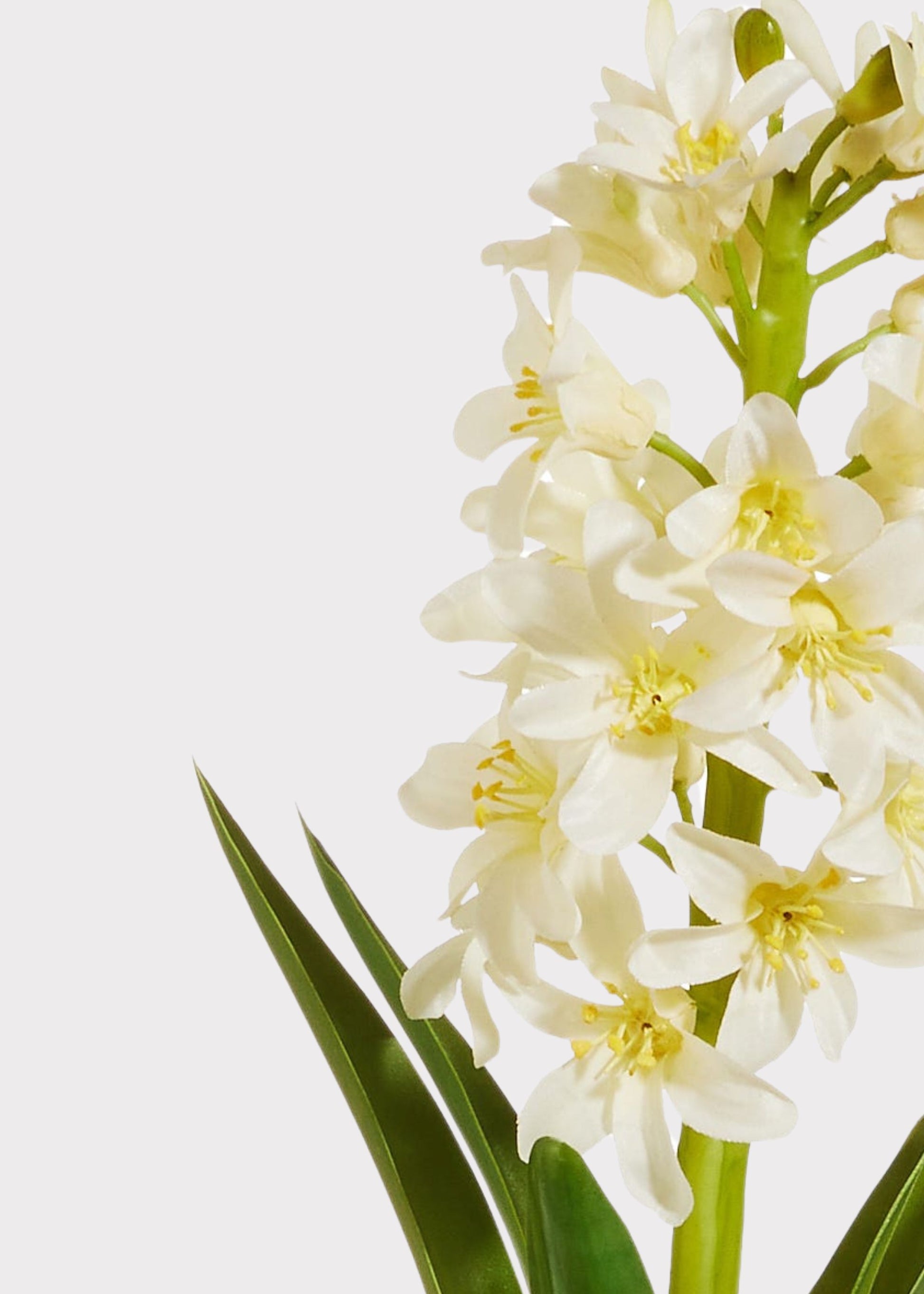 Close-up of artificial Hyacinth Flower
