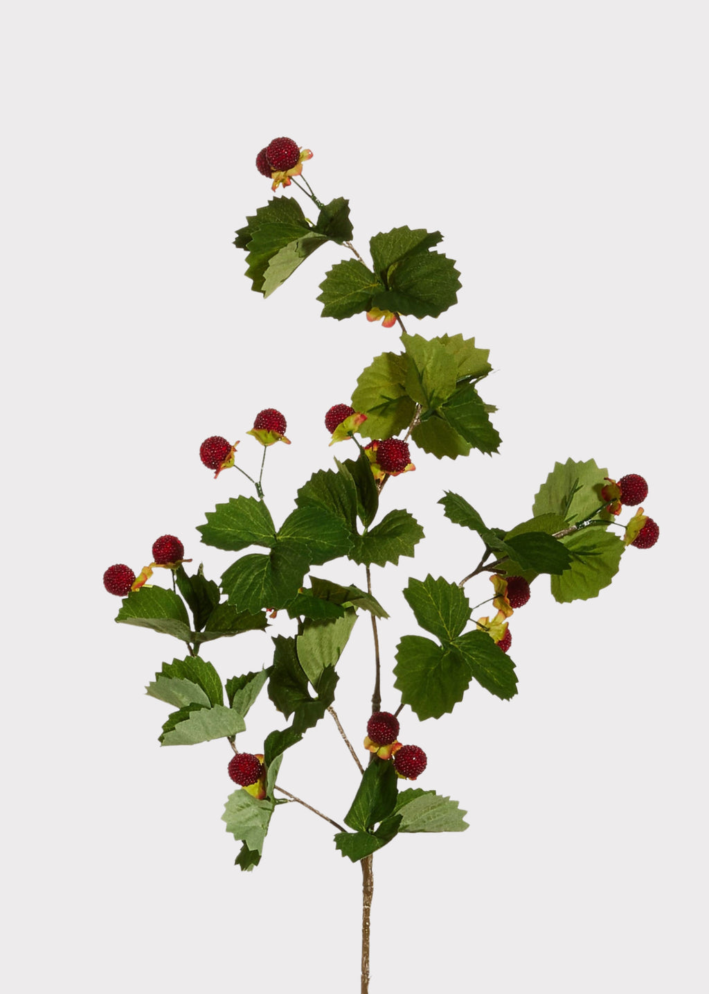 Amazon Raspberry Red Red Raspberry Branch | Lifelike Artificial Berries | Afloral