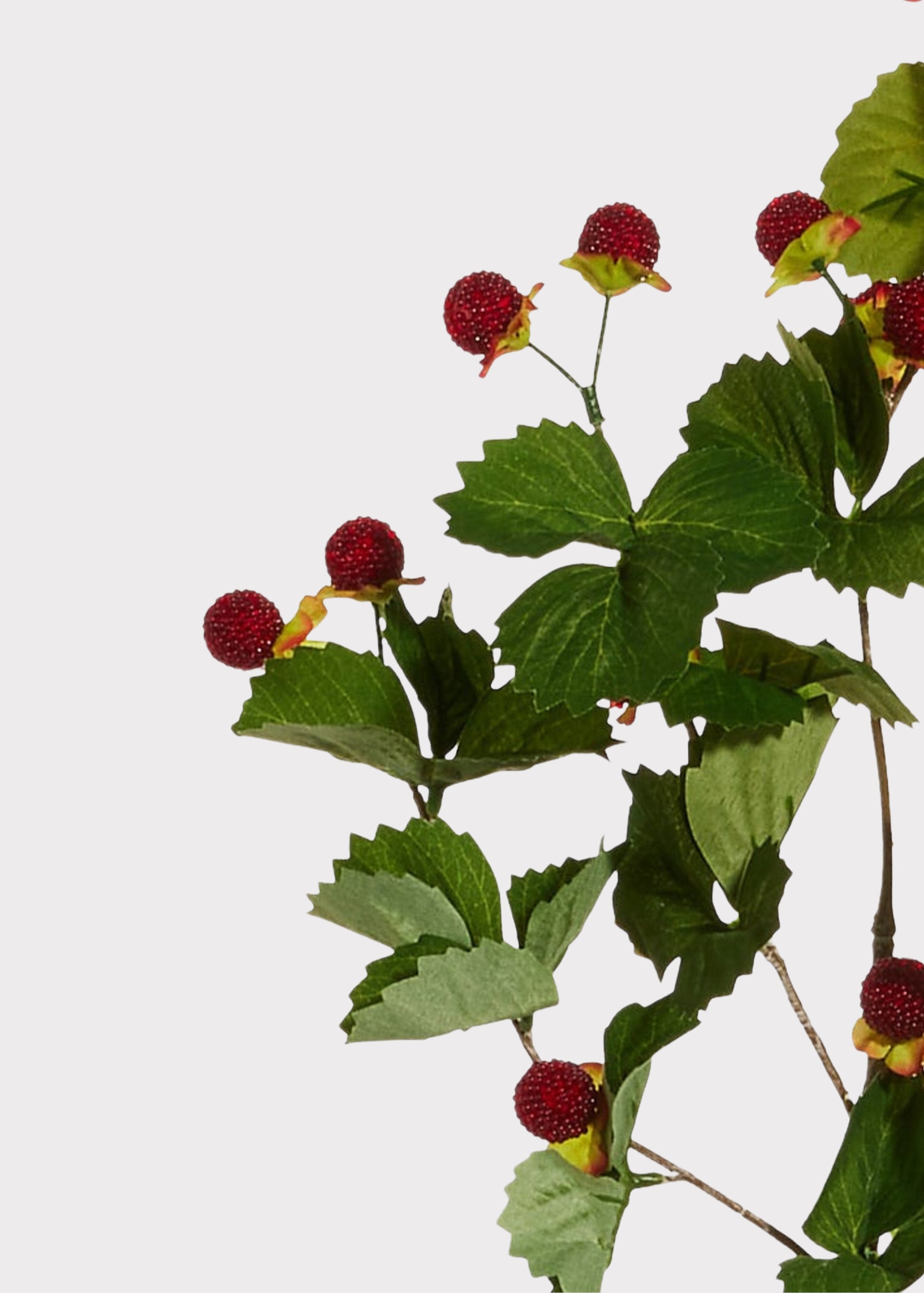 Close-up of fake red raspberries