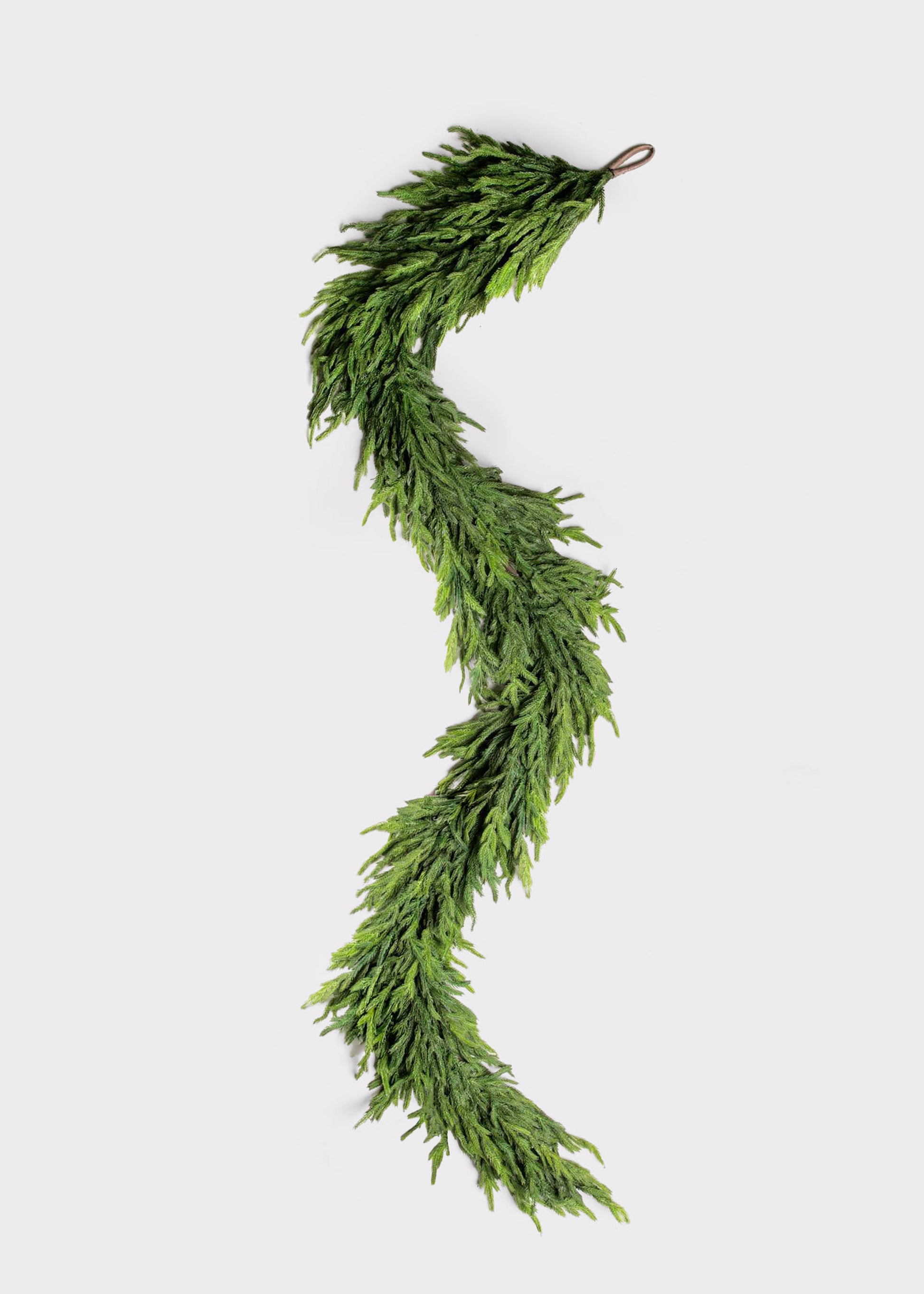 Deluxe Full Norfolk Pine Garland