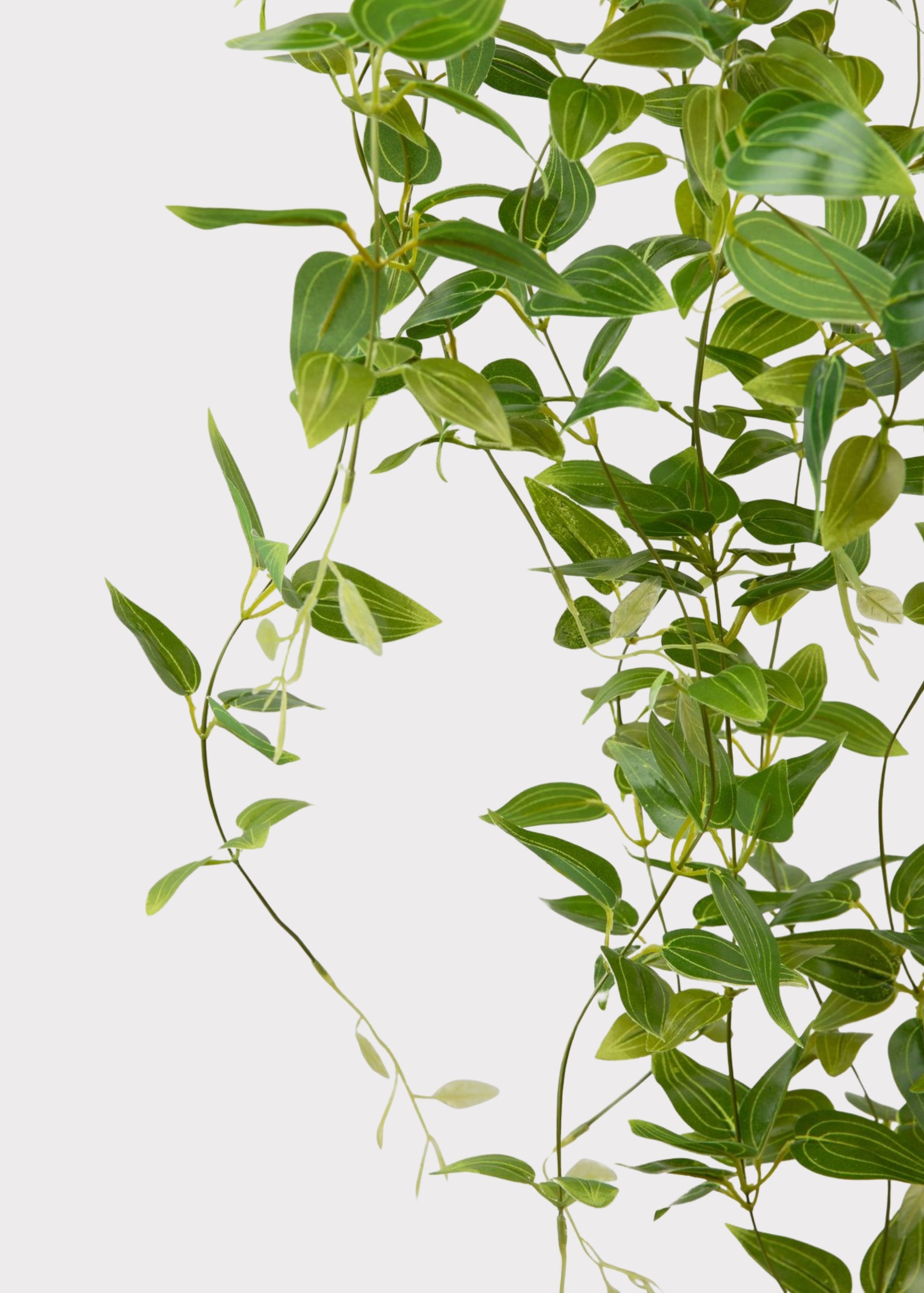 artificial hanging house plants Deluxe Artificial Plants Hanging Tradescantia Houseplant- 41"