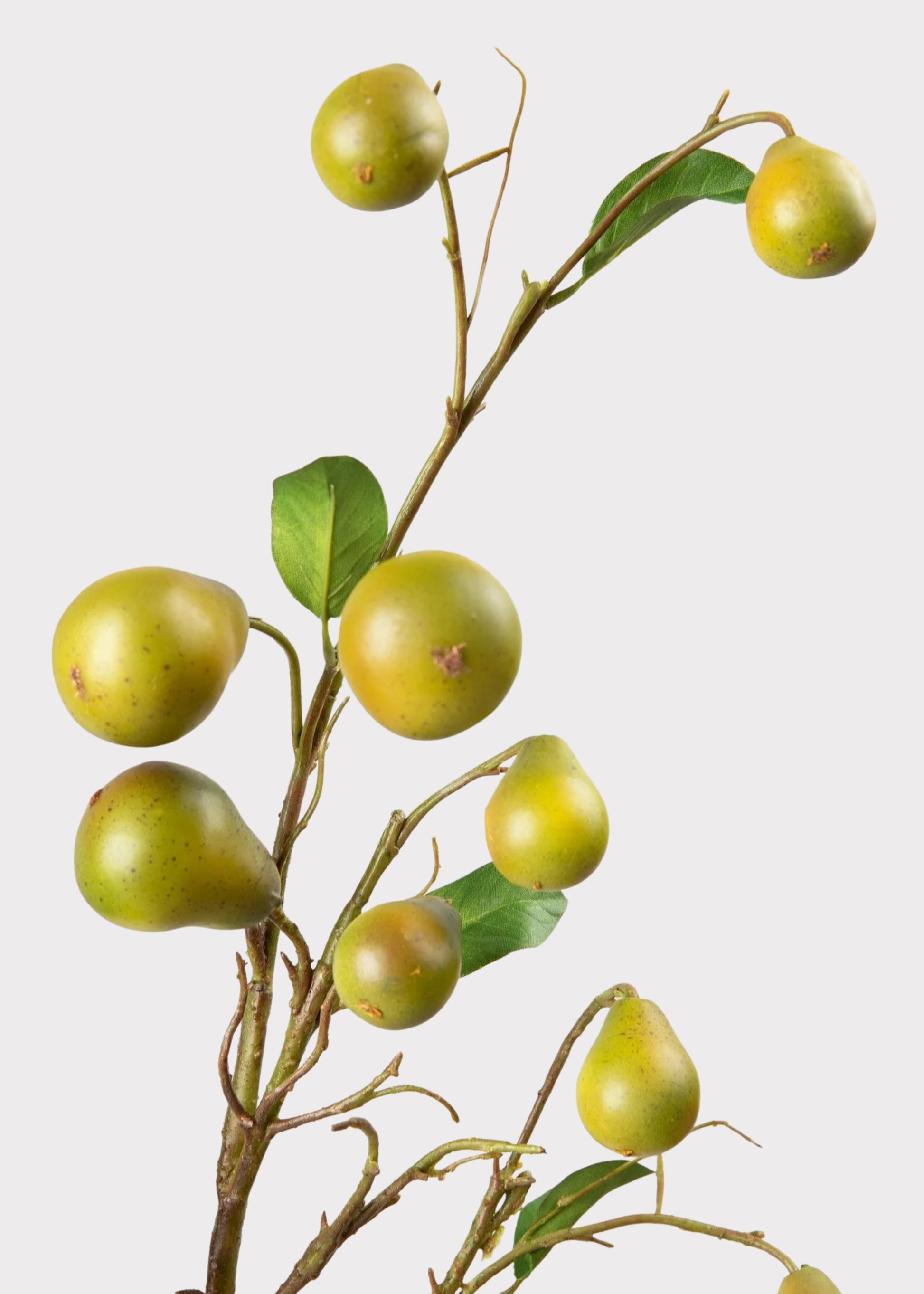 Close-up of Artificial Pear Branch