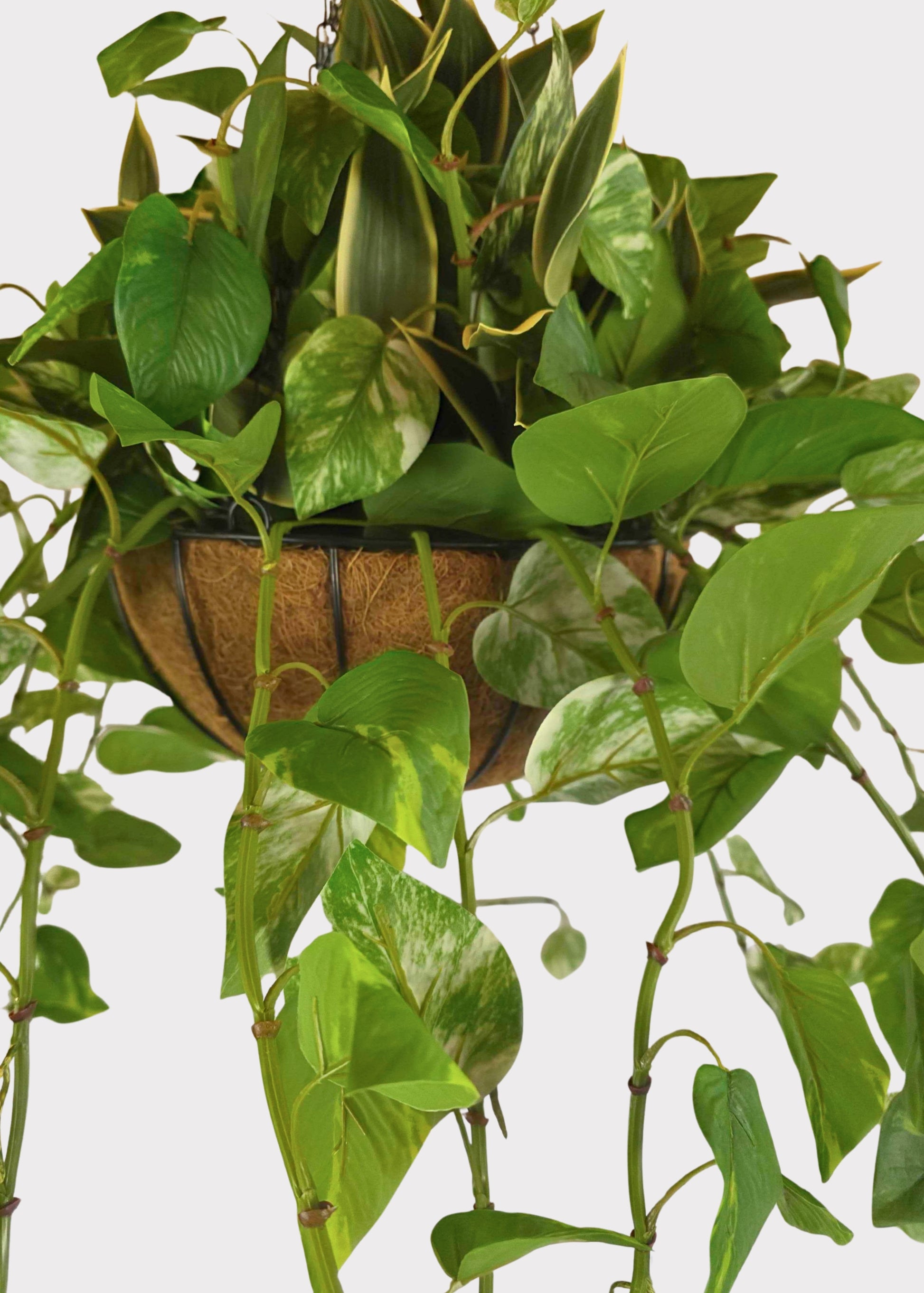 pothos hanging basket artificial plant UV Treated Plant in Hanging Basket | Fake Outdoor Greenery