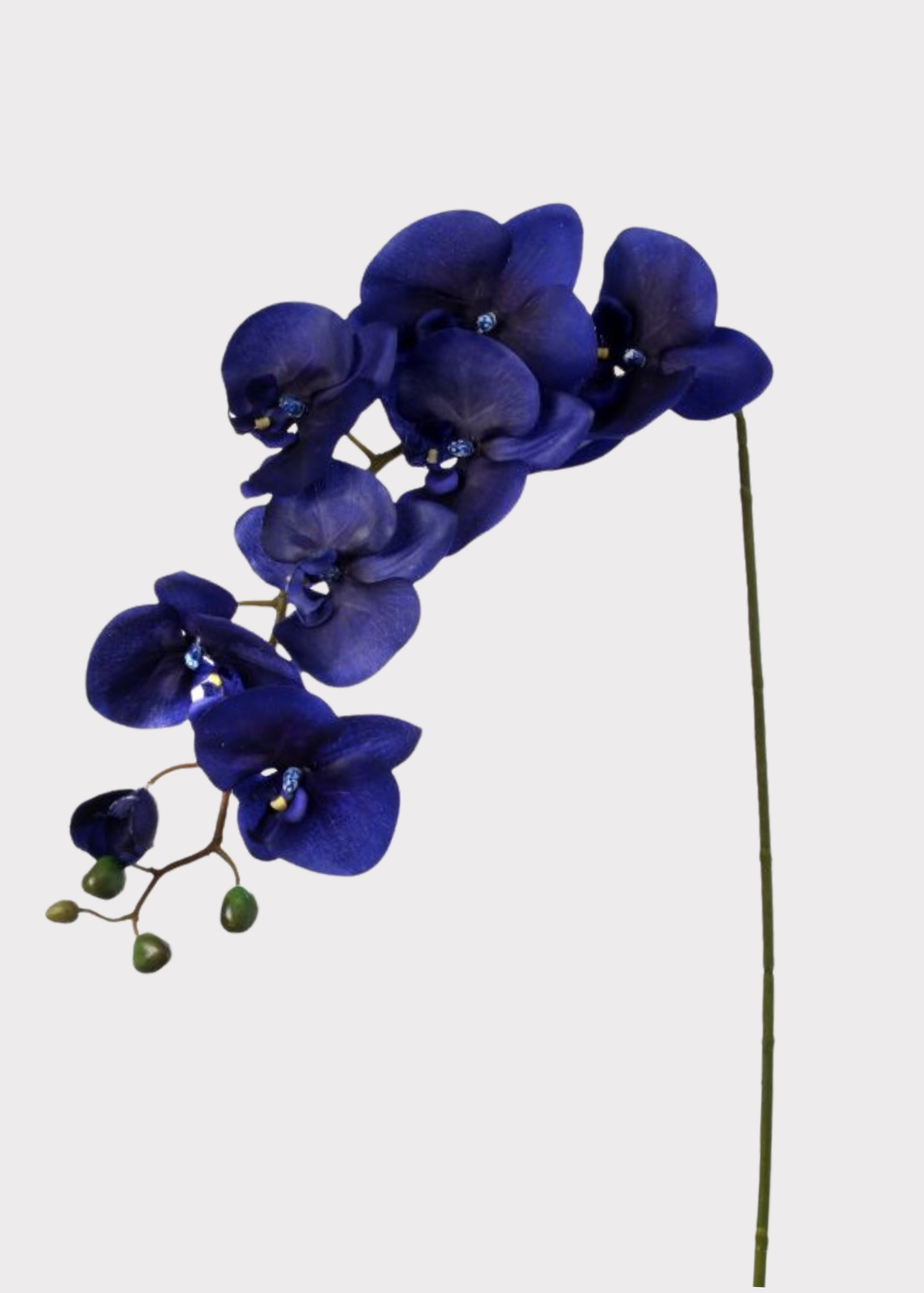 Indigo Blue Fake Phalaenopsis Orchid 