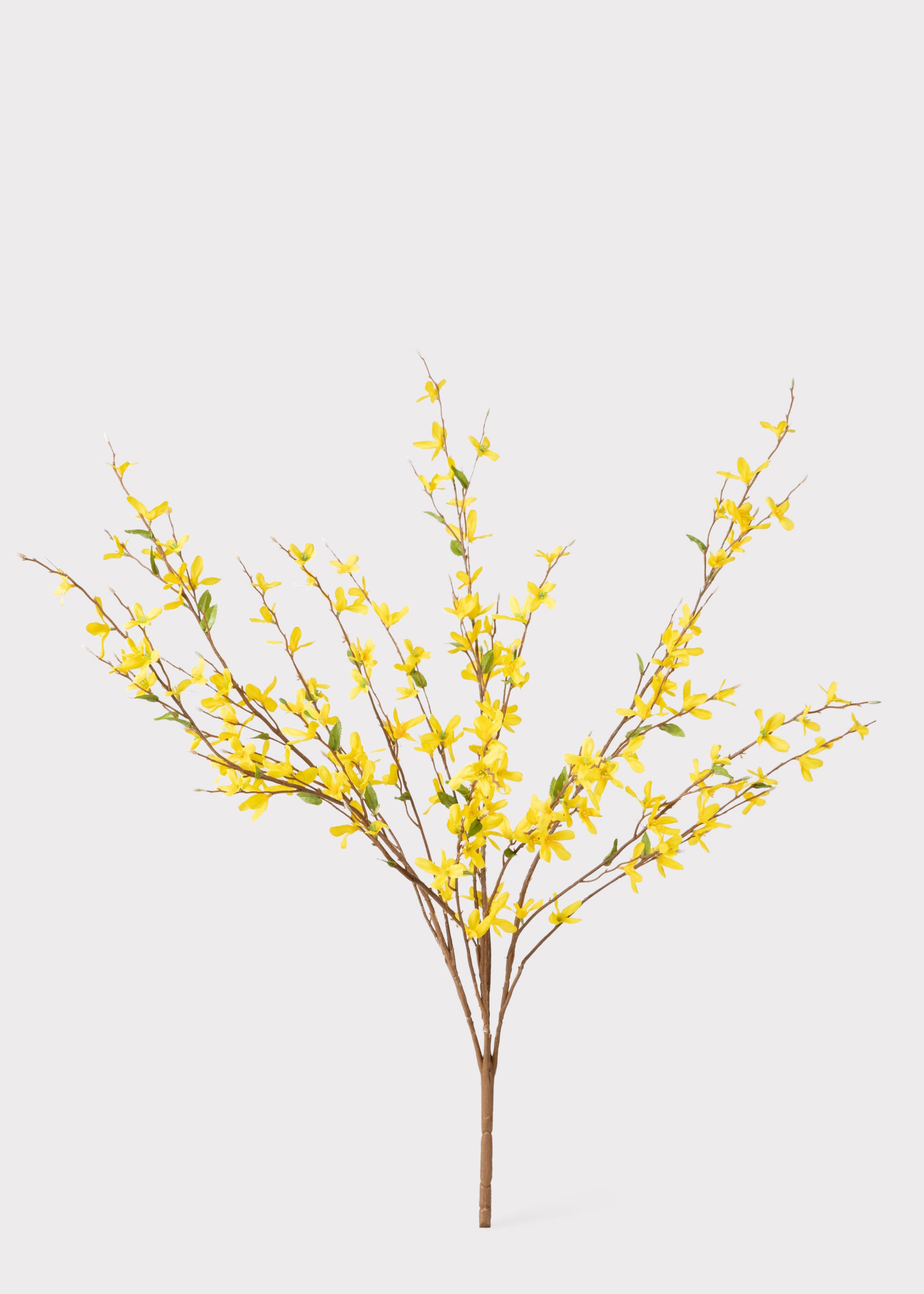 Faux  Forsythia Branch