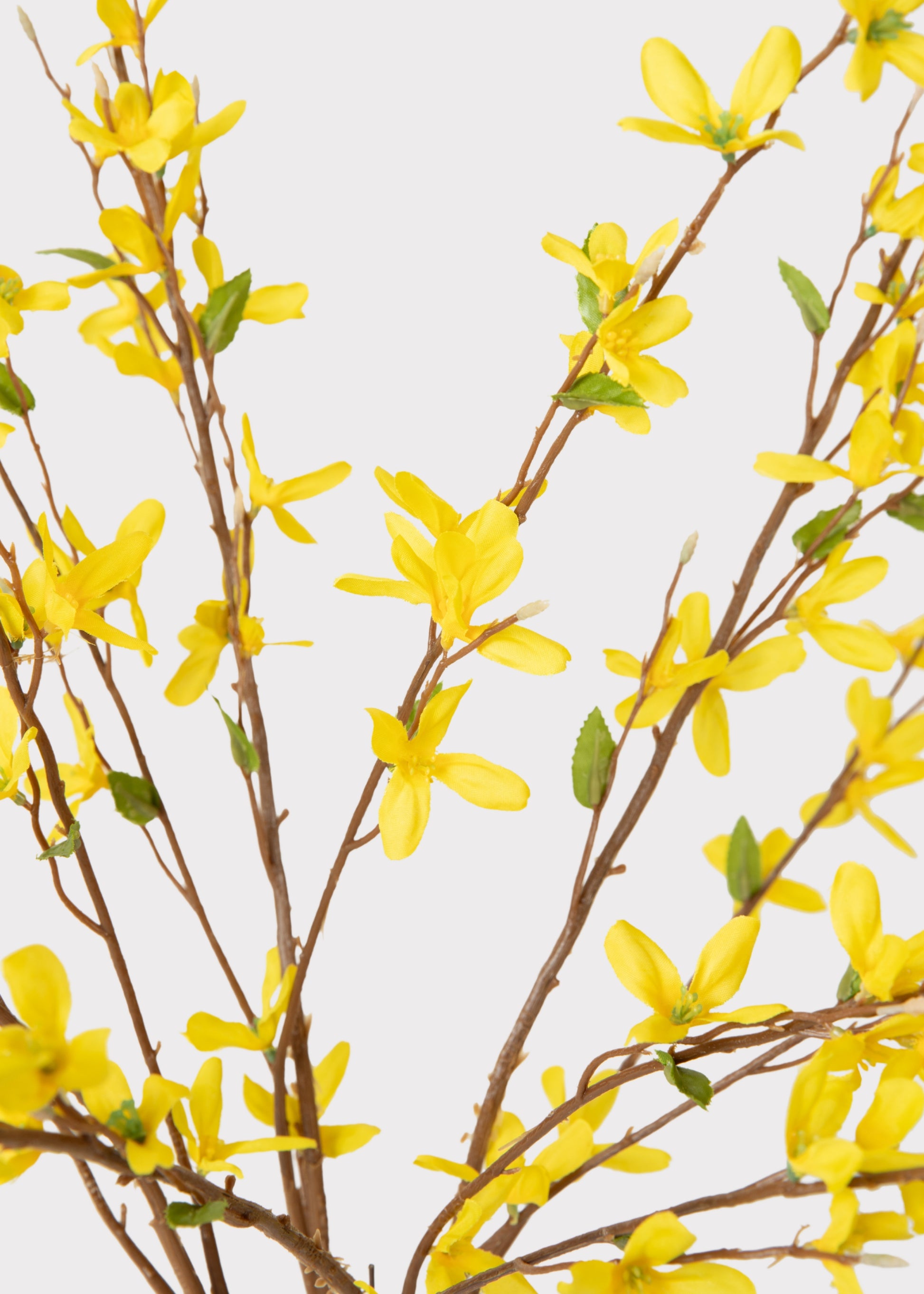 Artificial Forsythia Close-up