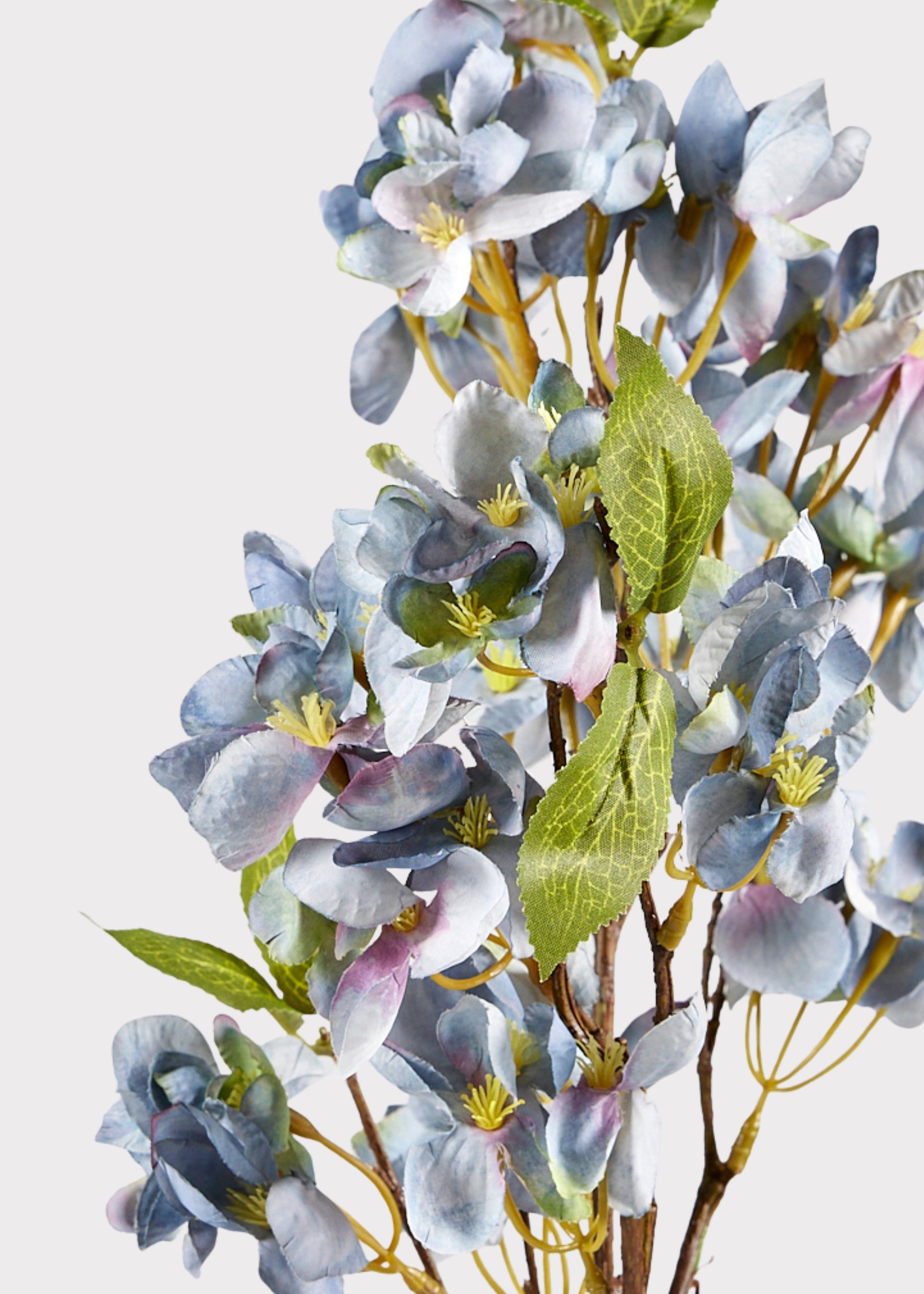 Blue Apple Blossom