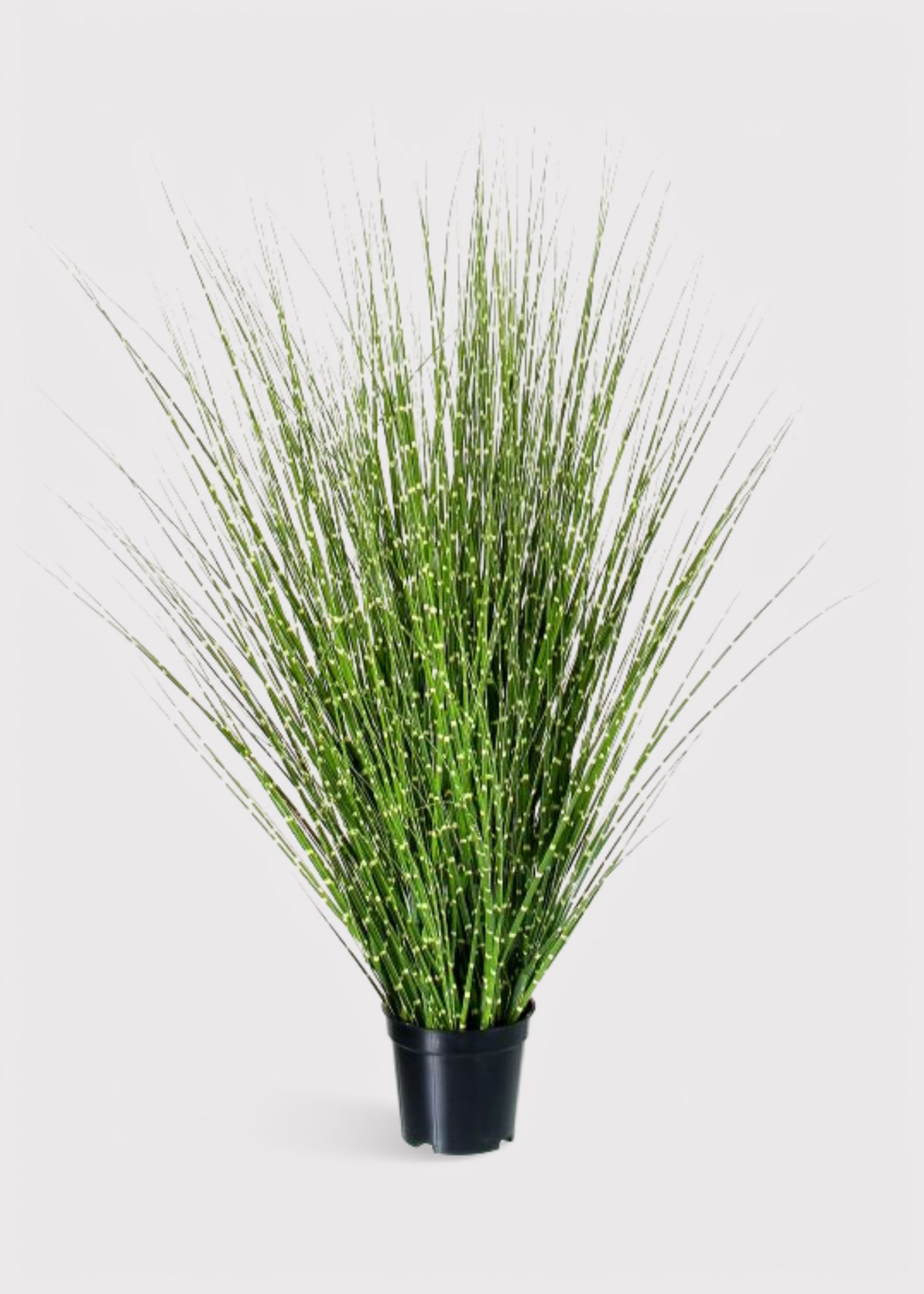 Artificial Zebra Grass Plant