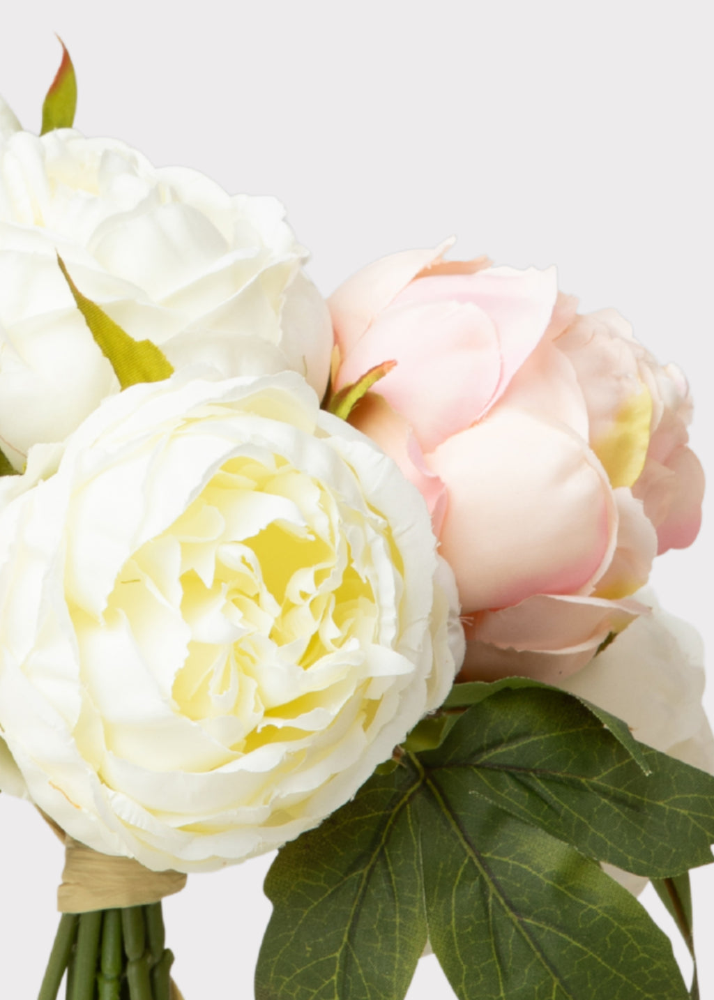 Bouquet of white and pink peonies 