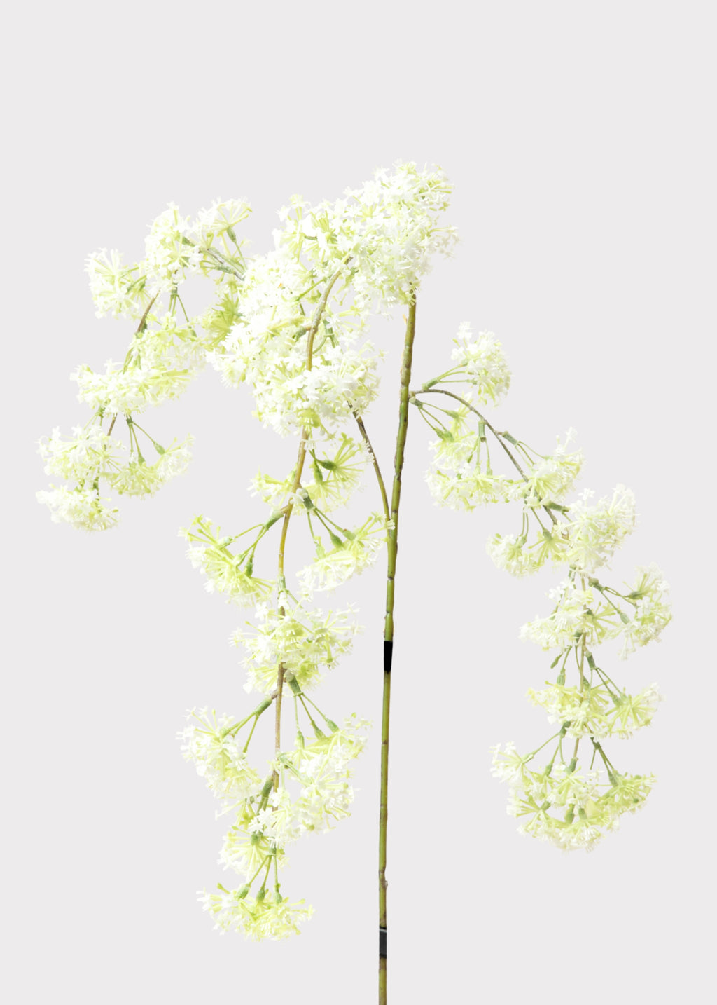 Laurel Hanging Flower Branch