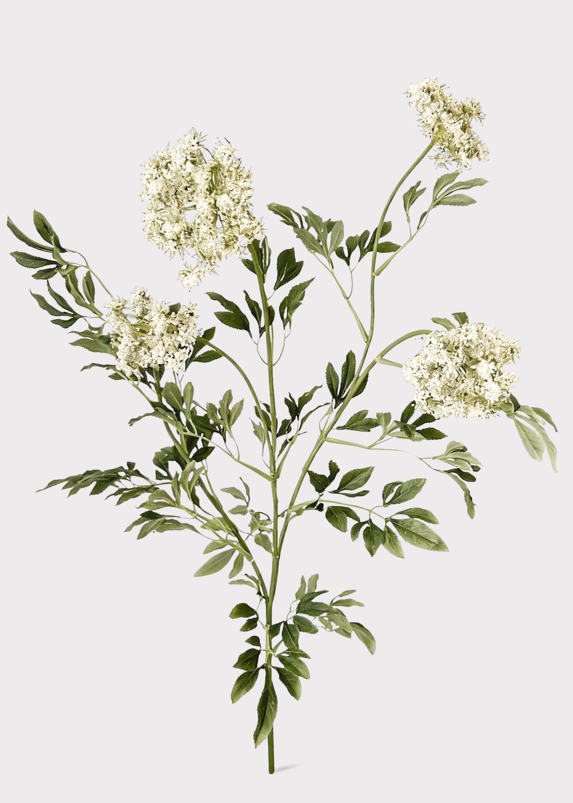 Tall Queen Anne's Lace Fake Wildflower Branch