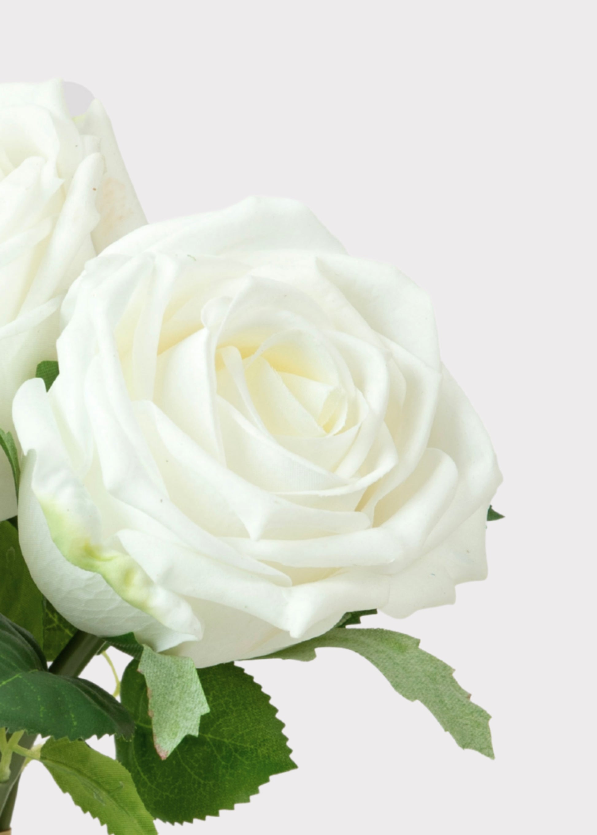 Real Touch White Roses
