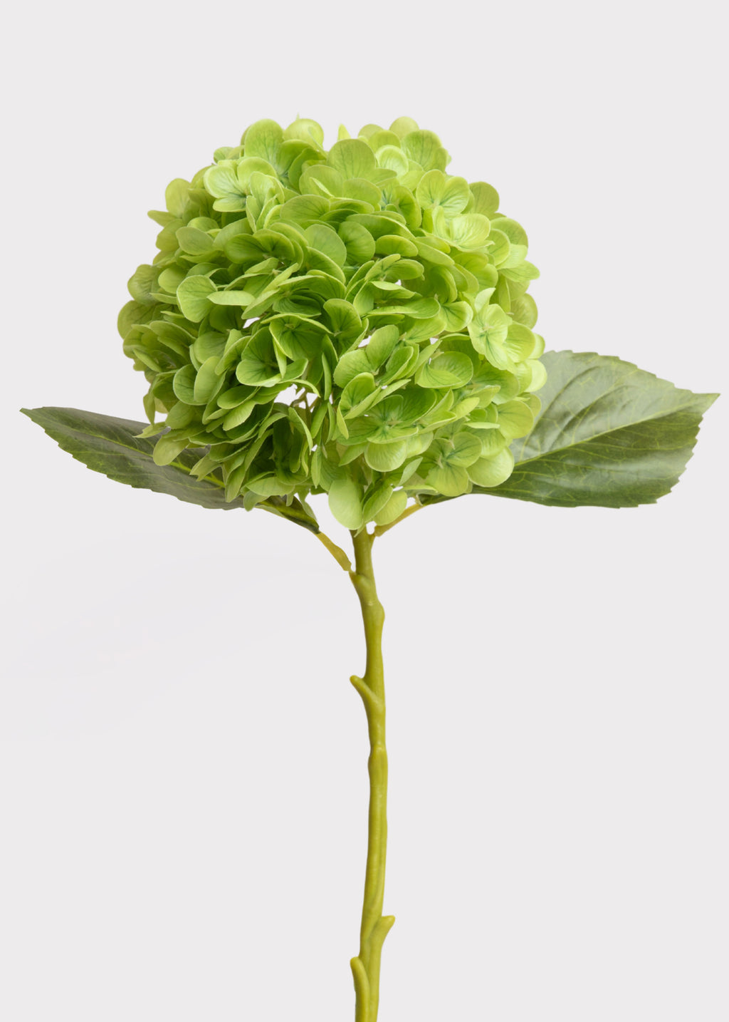 Green Fake Hydrangea